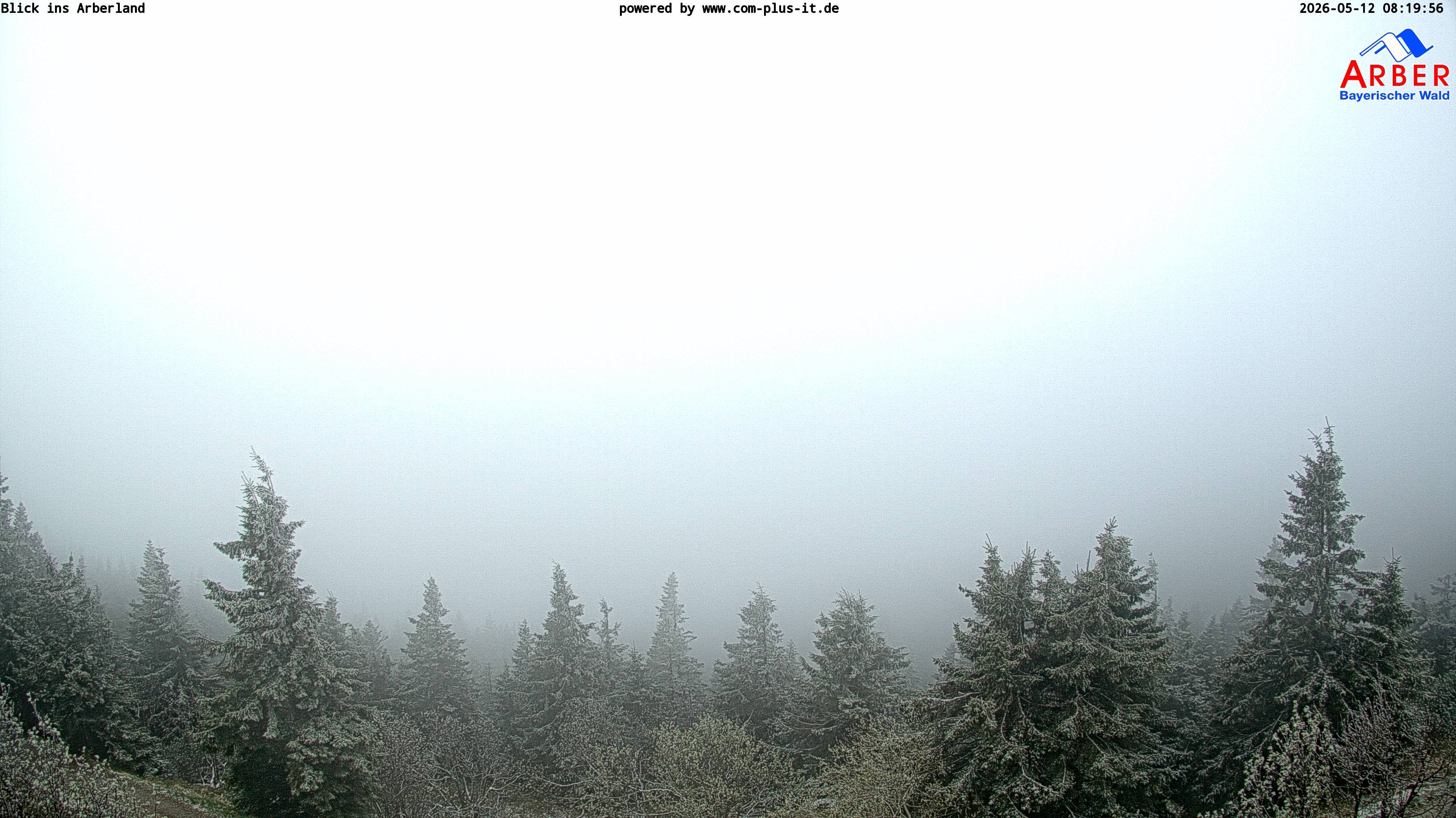 Archived image Webcam Großer Arber mountain