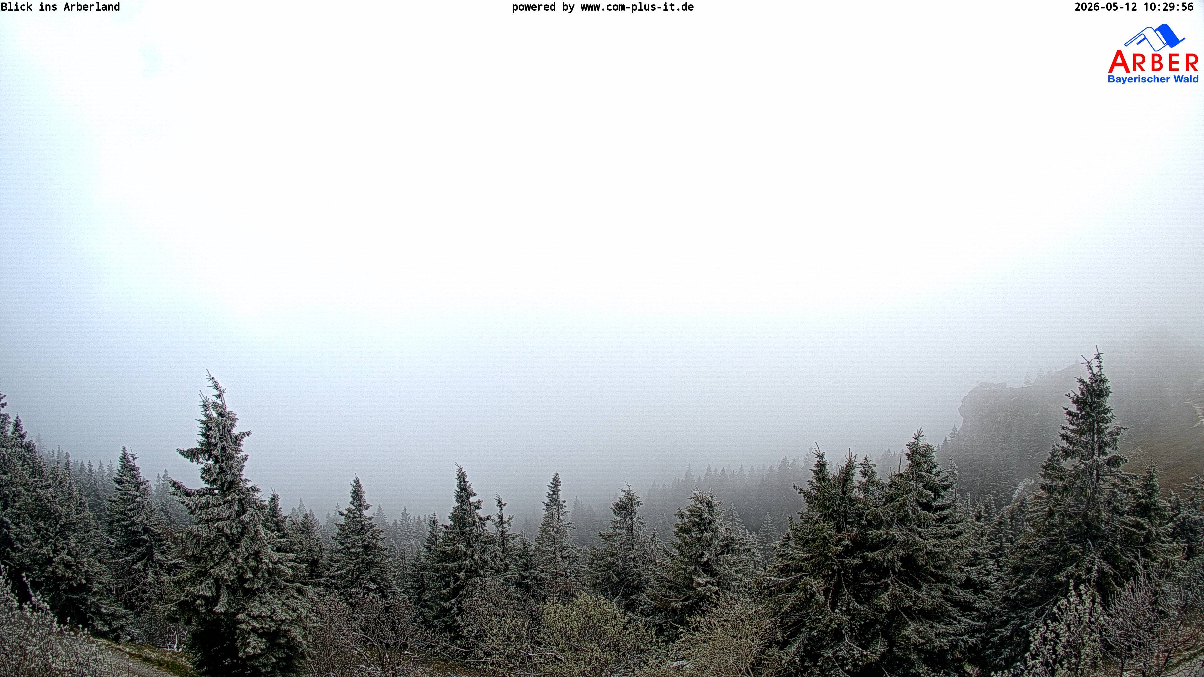Archived image Webcam Großer Arber mountain