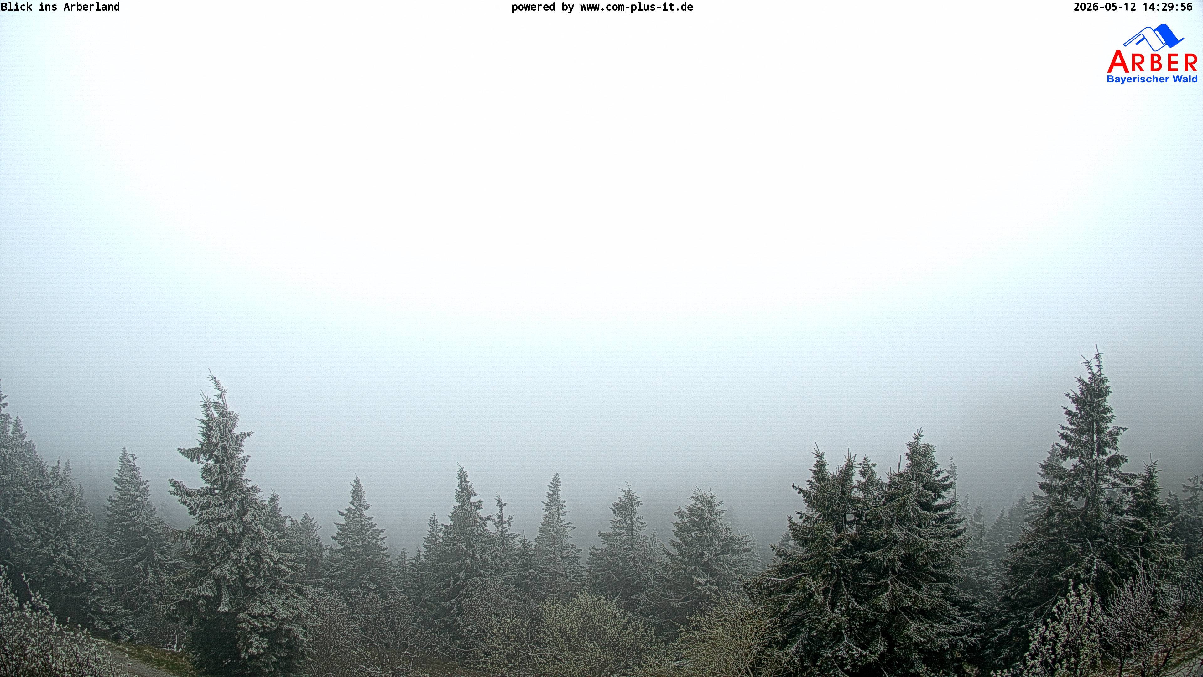 Archived image Webcam Großer Arber mountain