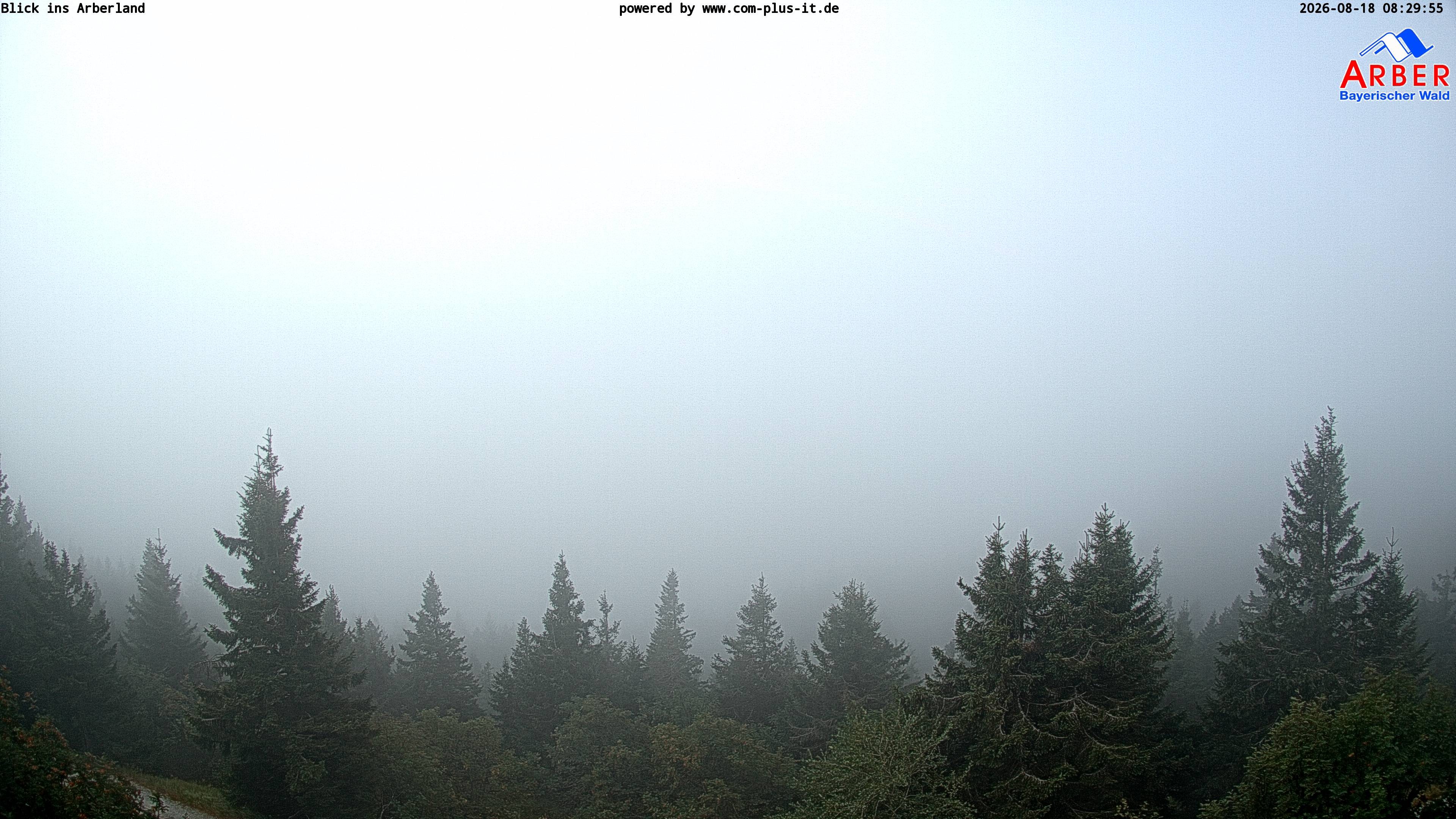 Archiv Foto Webcam Großer Arber