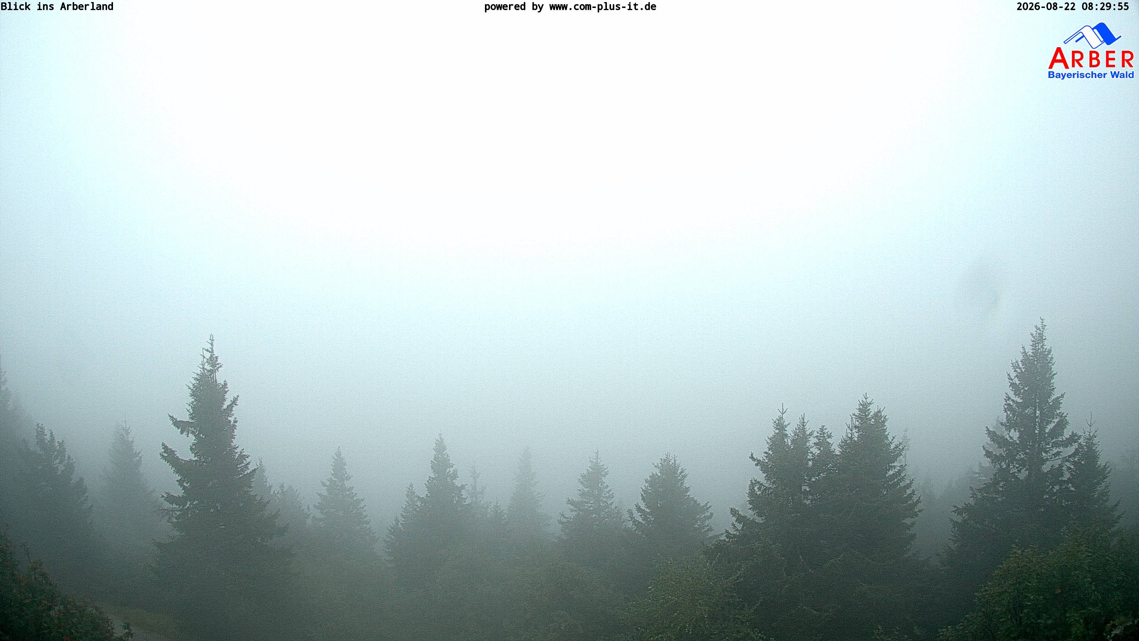 Archiv Foto Webcam Großer Arber