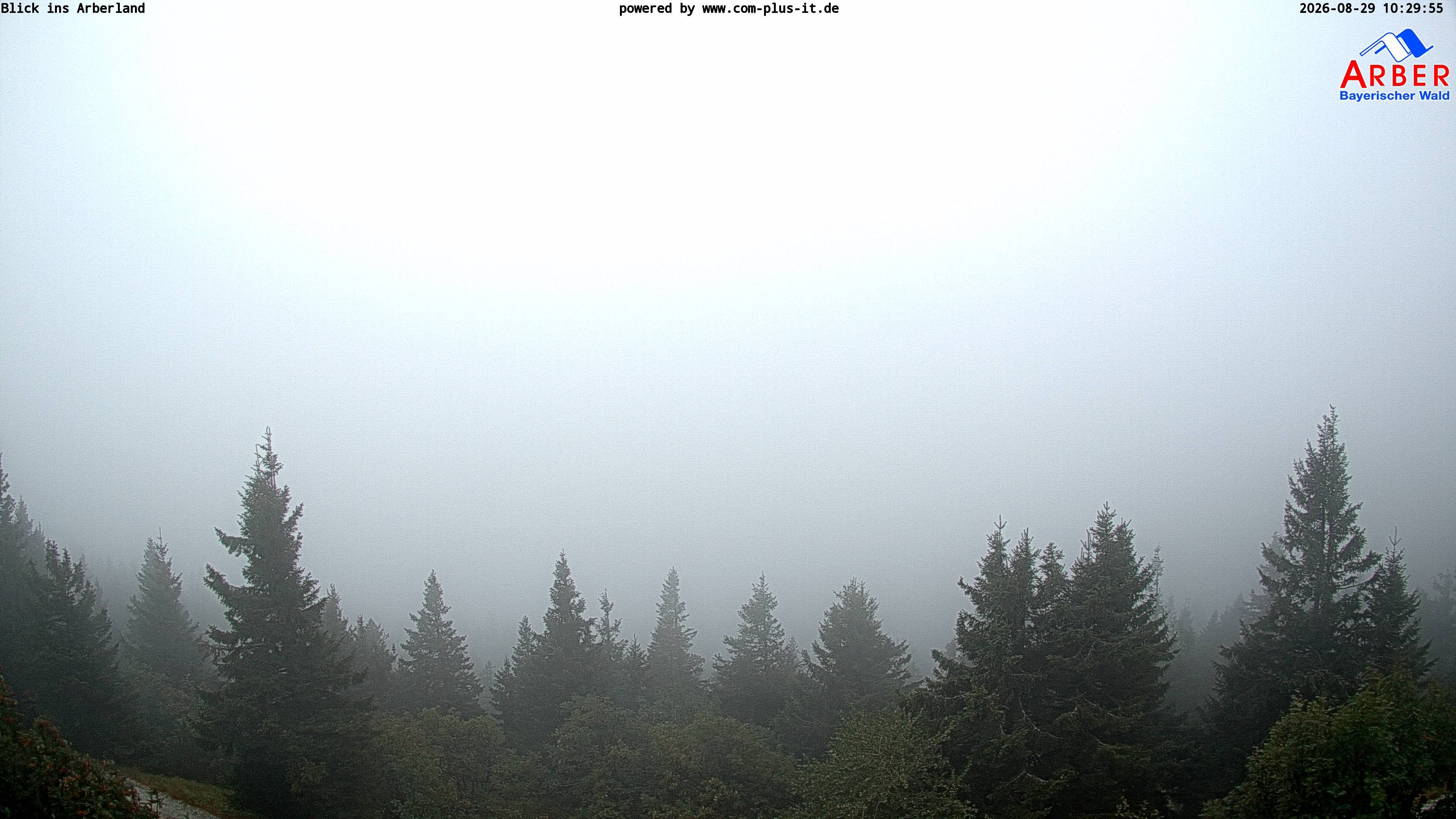 Archived image Webcam Großer Arber mountain