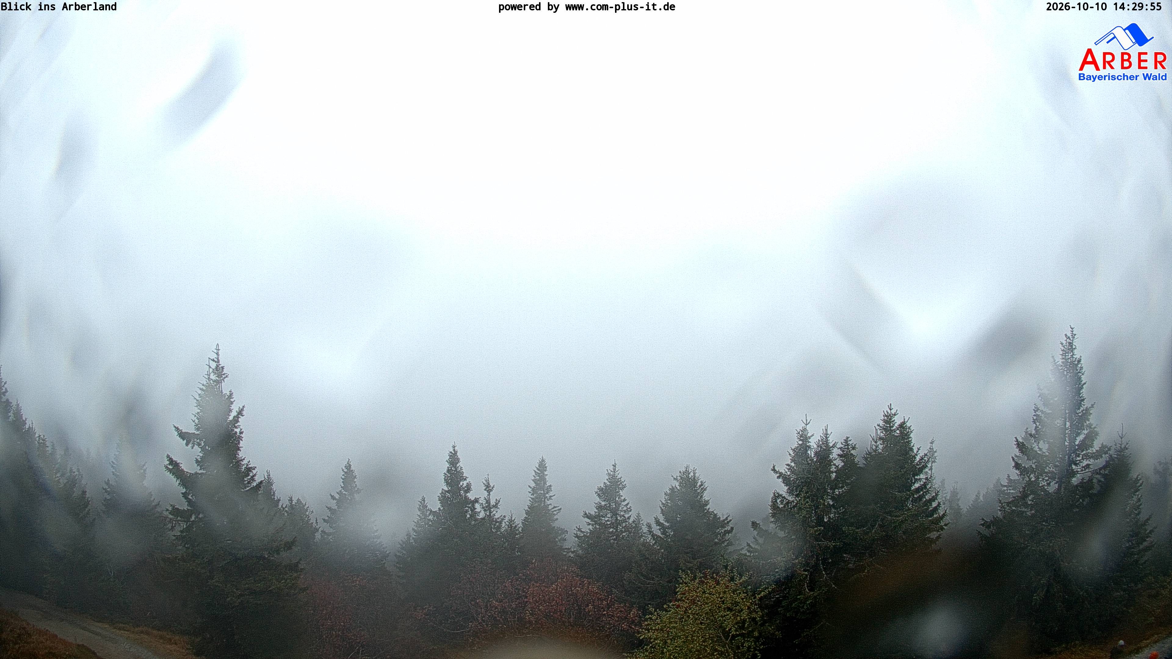 Archiv Foto Webcam Großer Arber