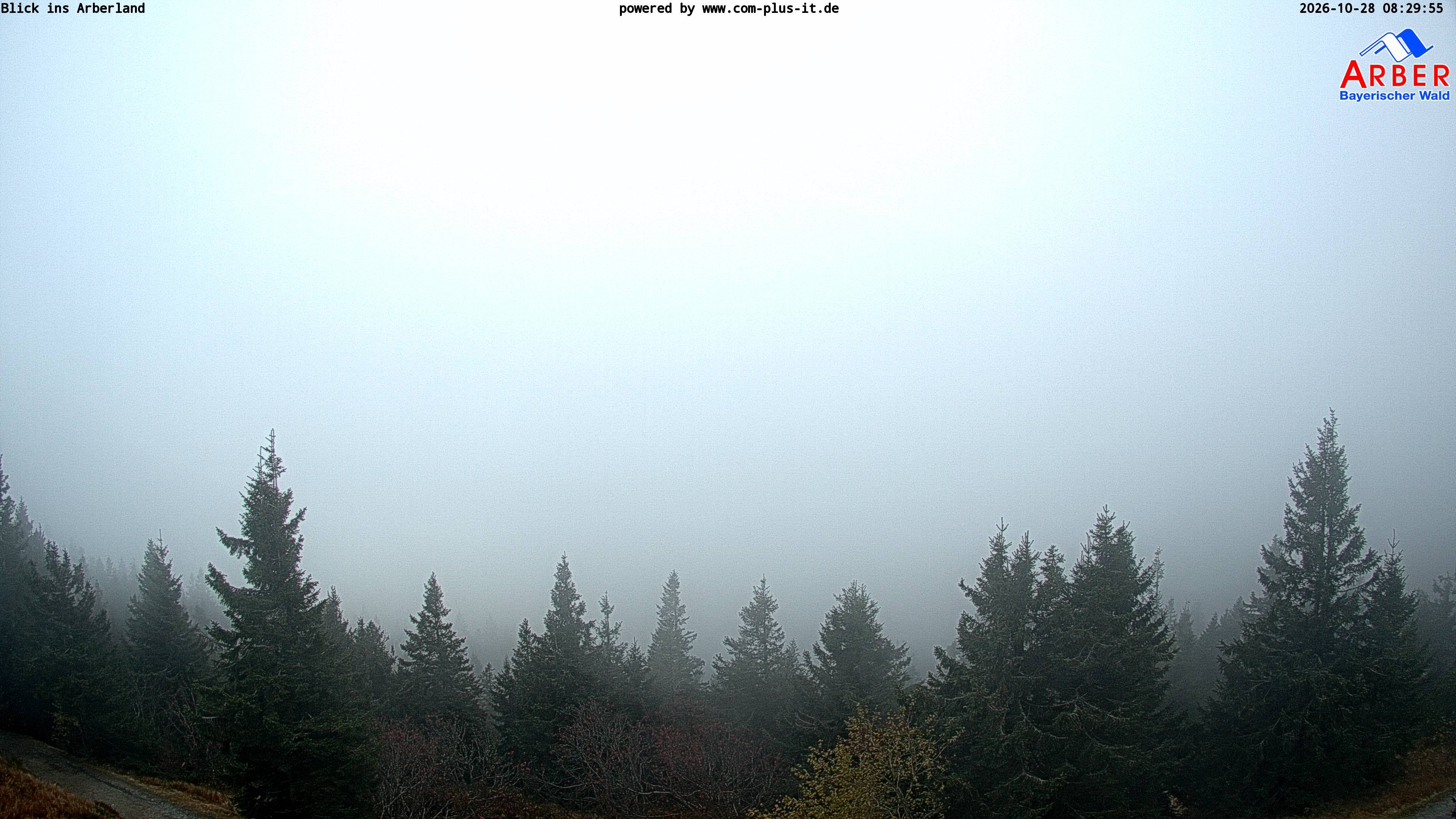 Archiv Foto Webcam Großer Arber