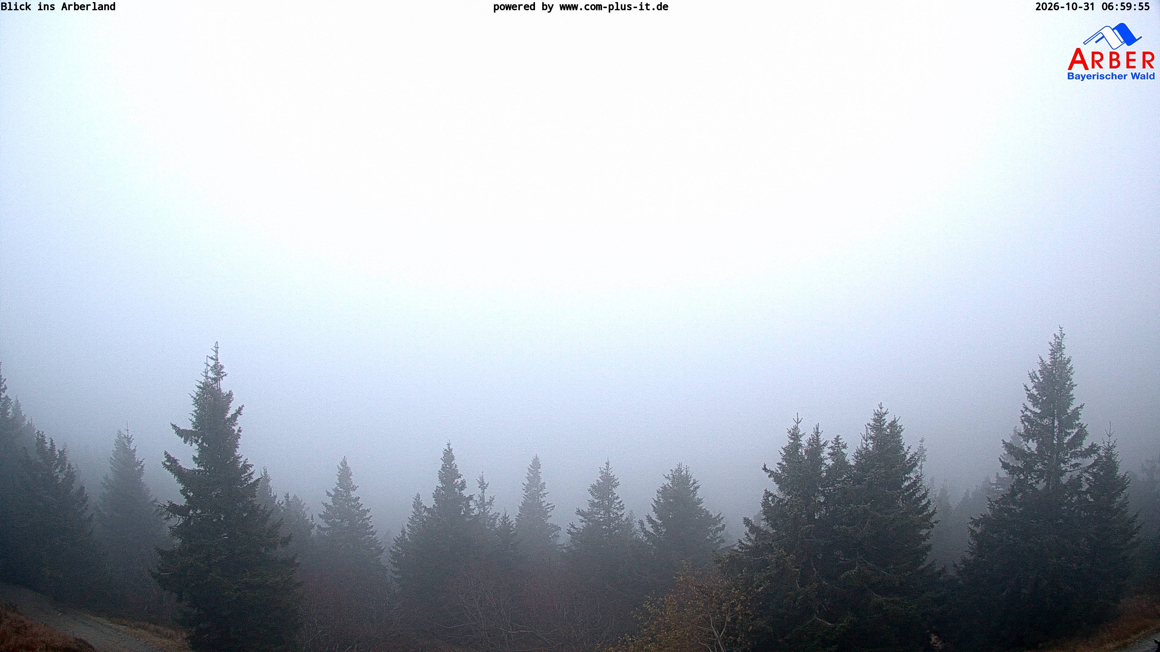 Archived image Webcam Großer Arber mountain