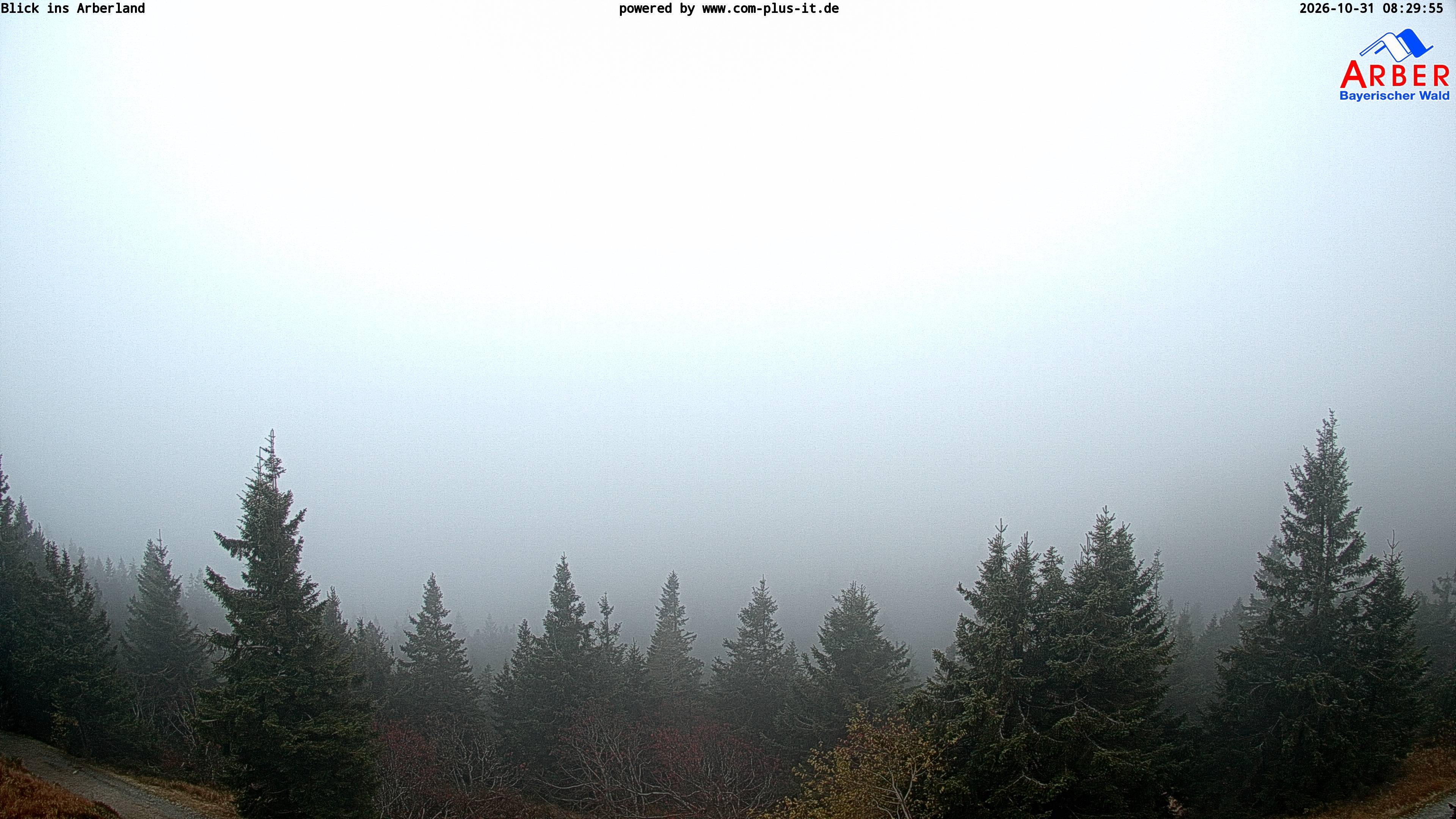 Archived image Webcam Großer Arber mountain
