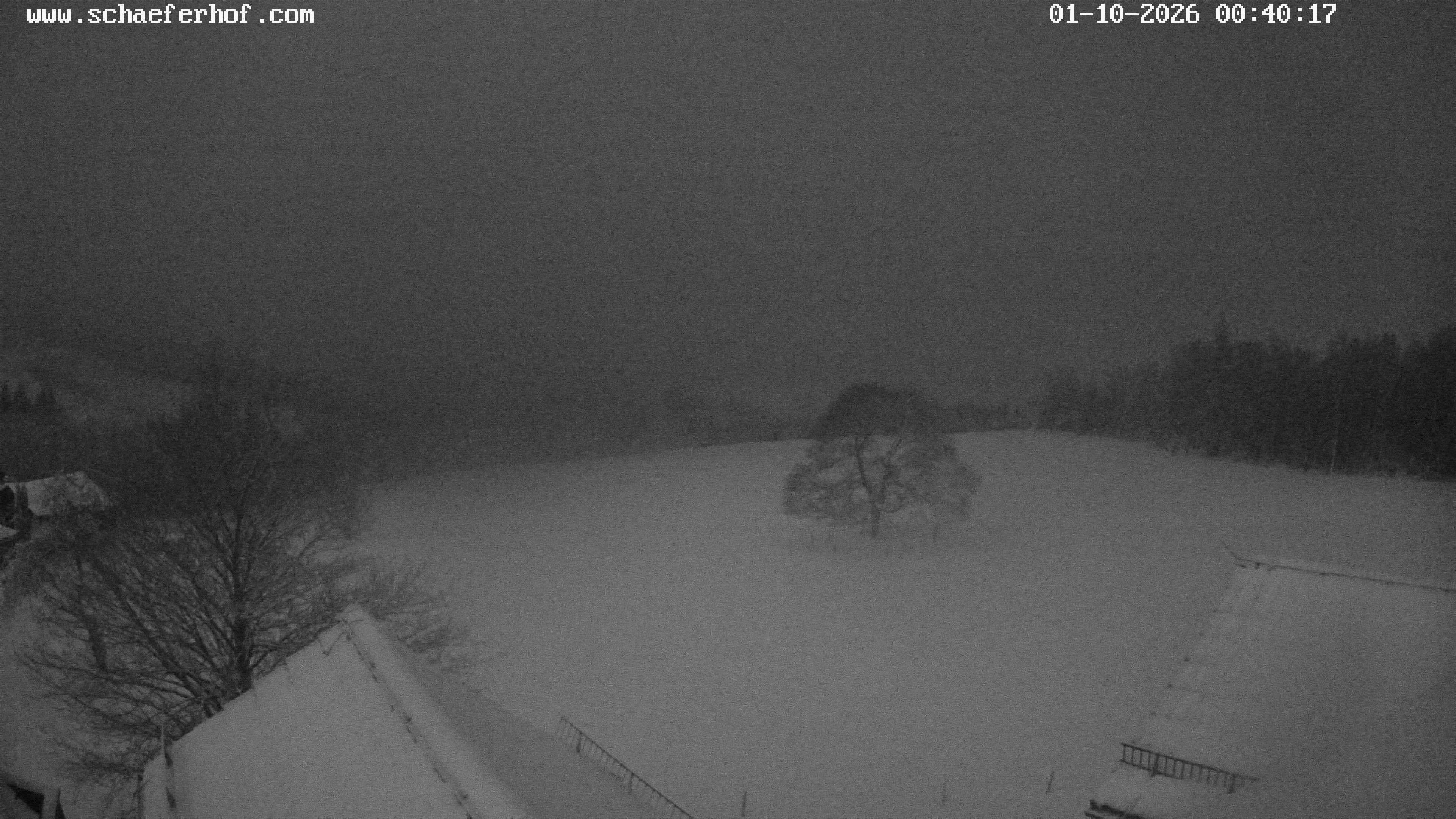 Archiv Foto Webcam Schäferhof im Sauerland