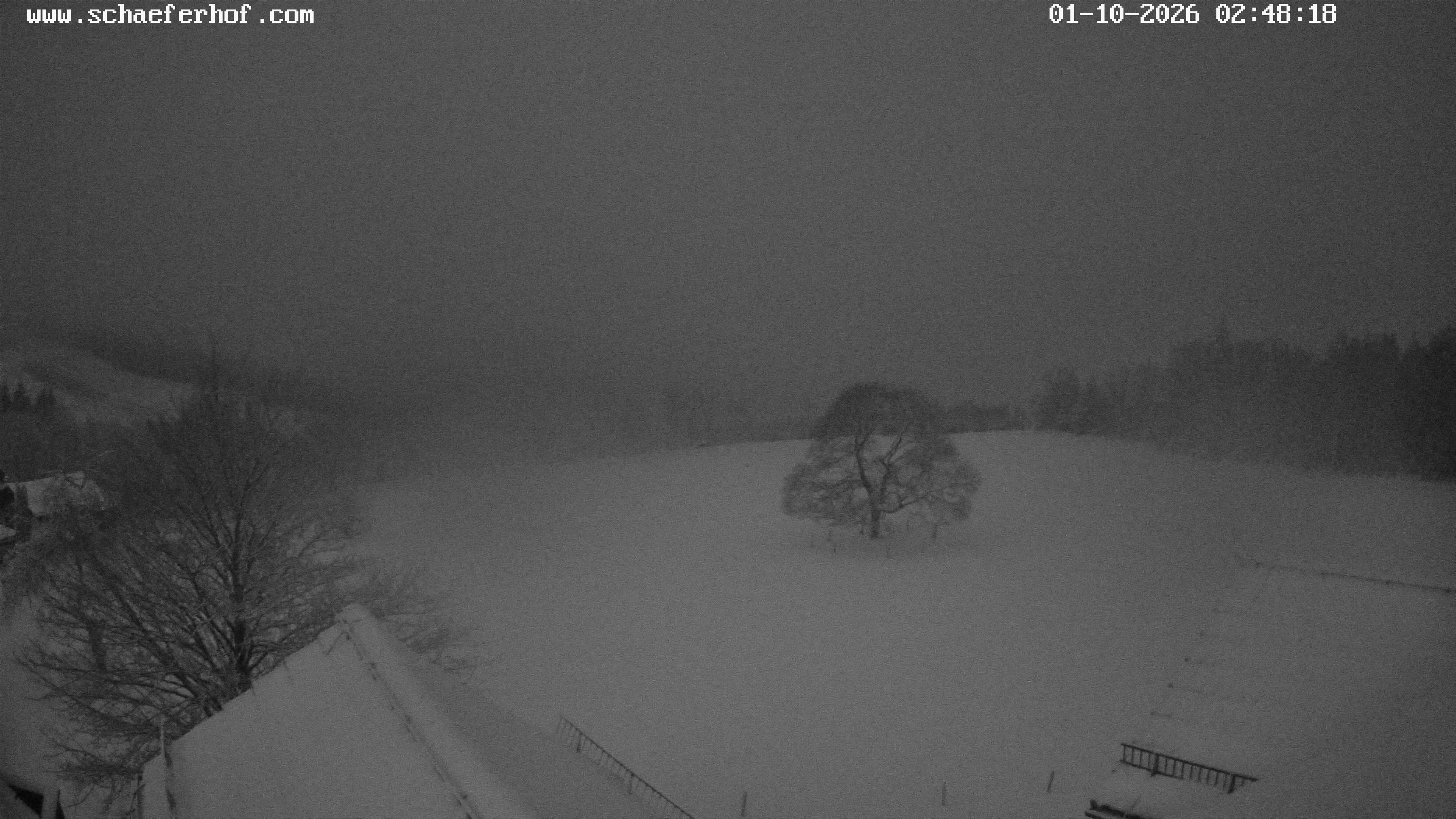 Archiv Foto Webcam Schäferhof im Sauerland