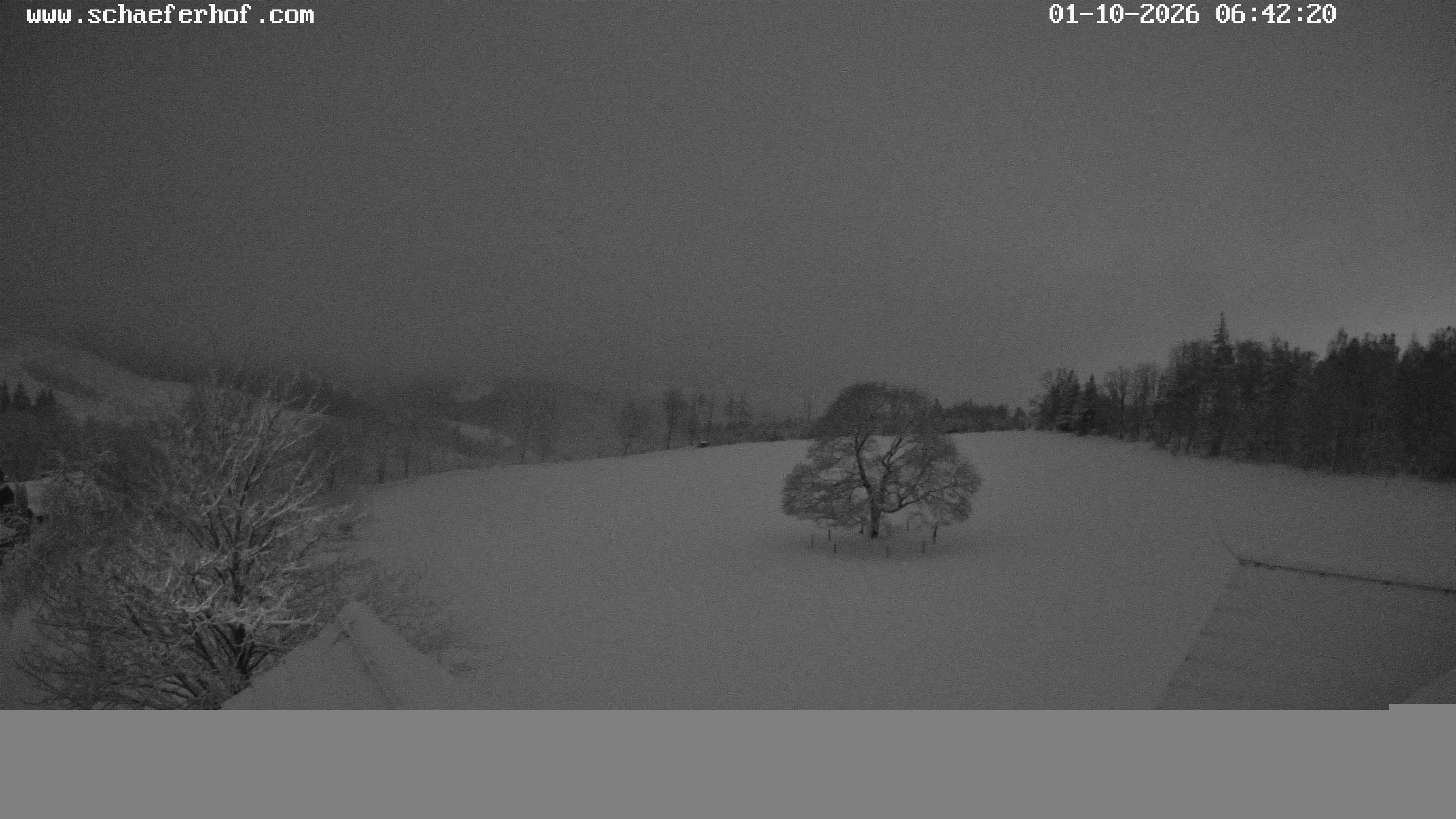 Archiv Foto Webcam Schäferhof im Sauerland