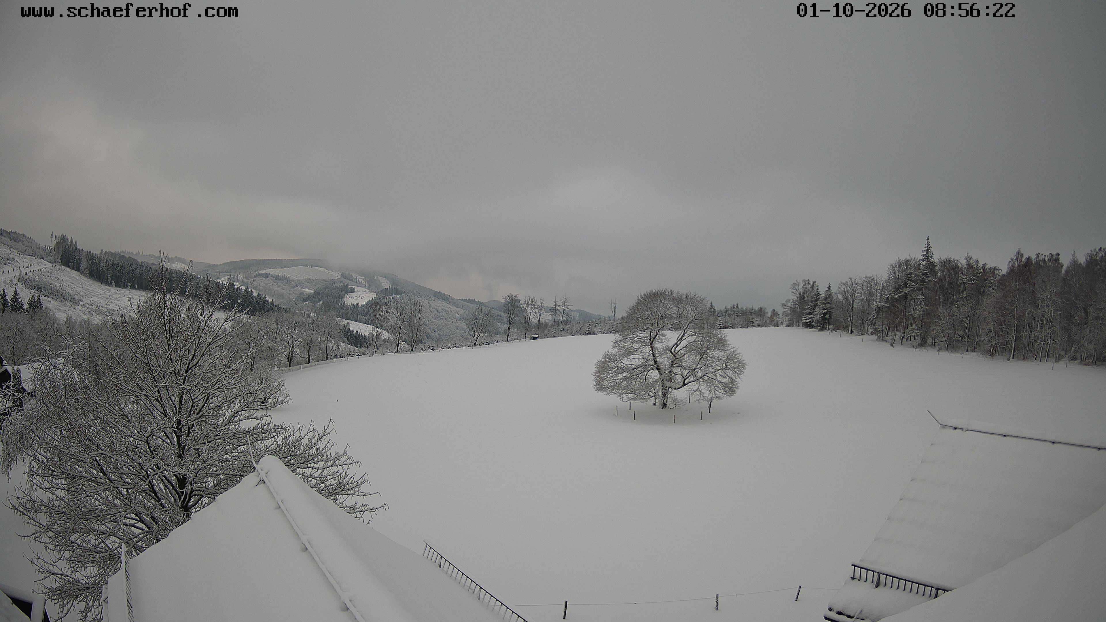 Archiv Foto Webcam Schäferhof im Sauerland