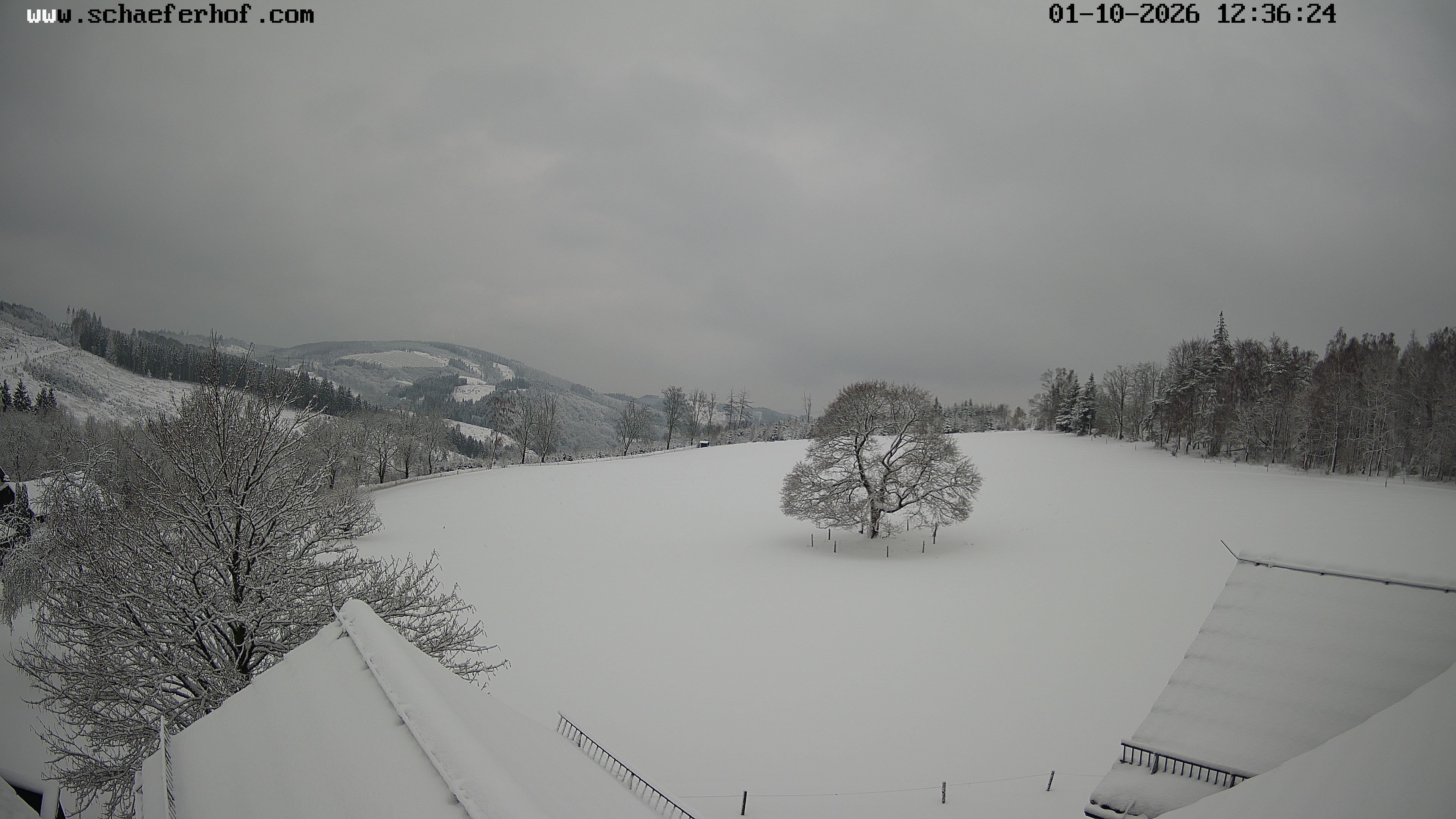 Archiv Foto Webcam Schäferhof im Sauerland