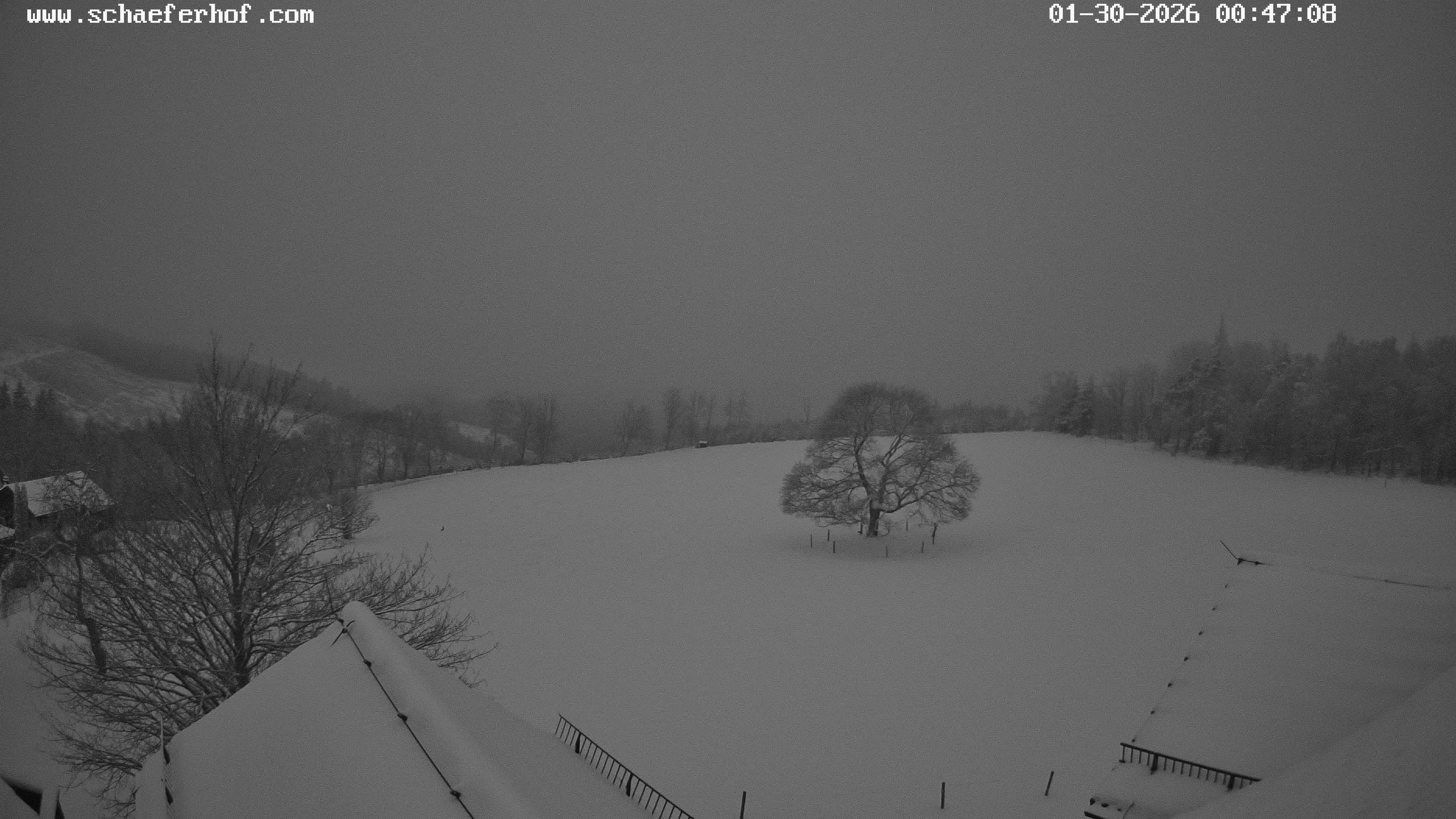 Archiv Foto Webcam Schäferhof im Sauerland