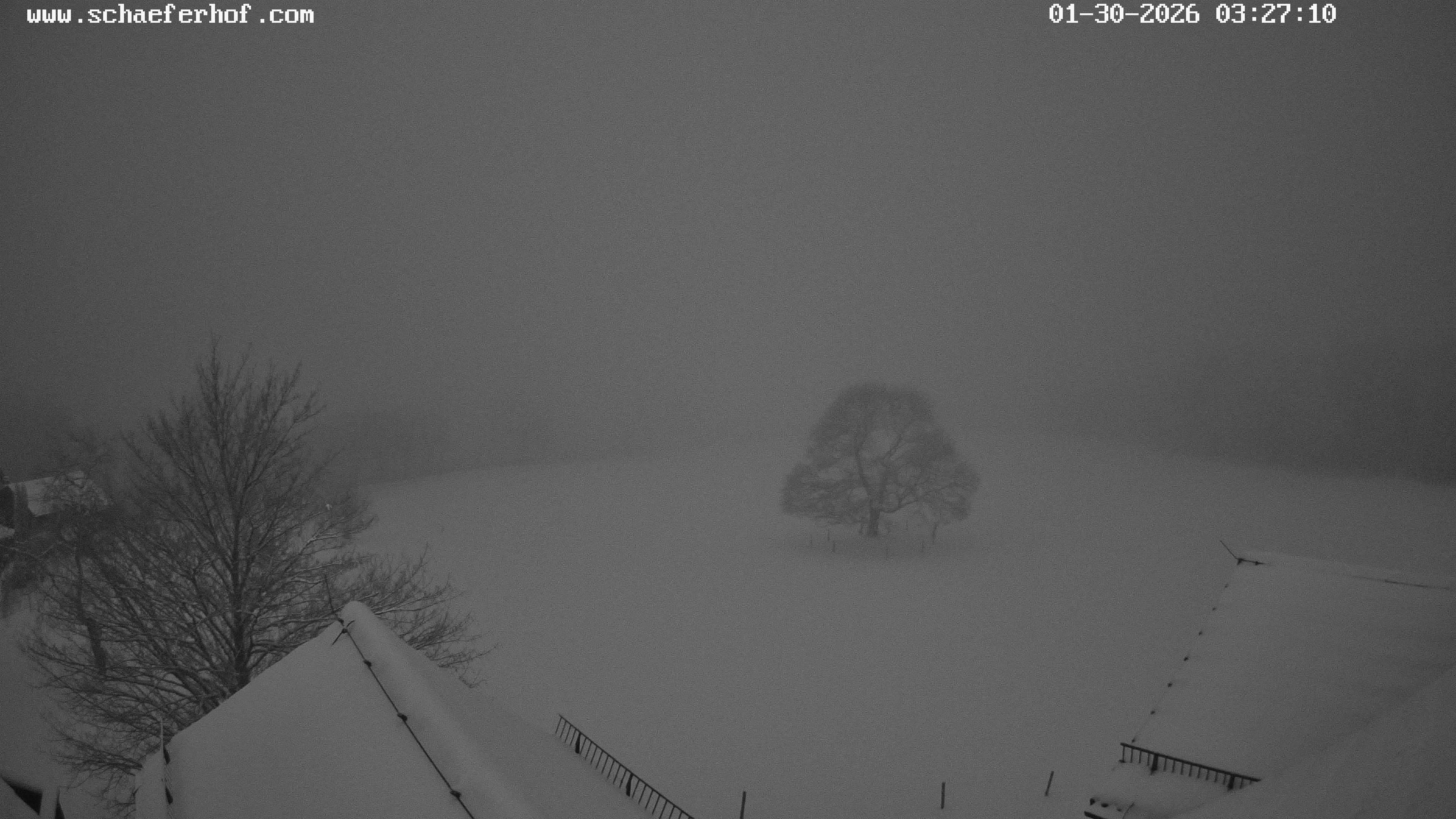 Archiv Foto Webcam Schäferhof im Sauerland