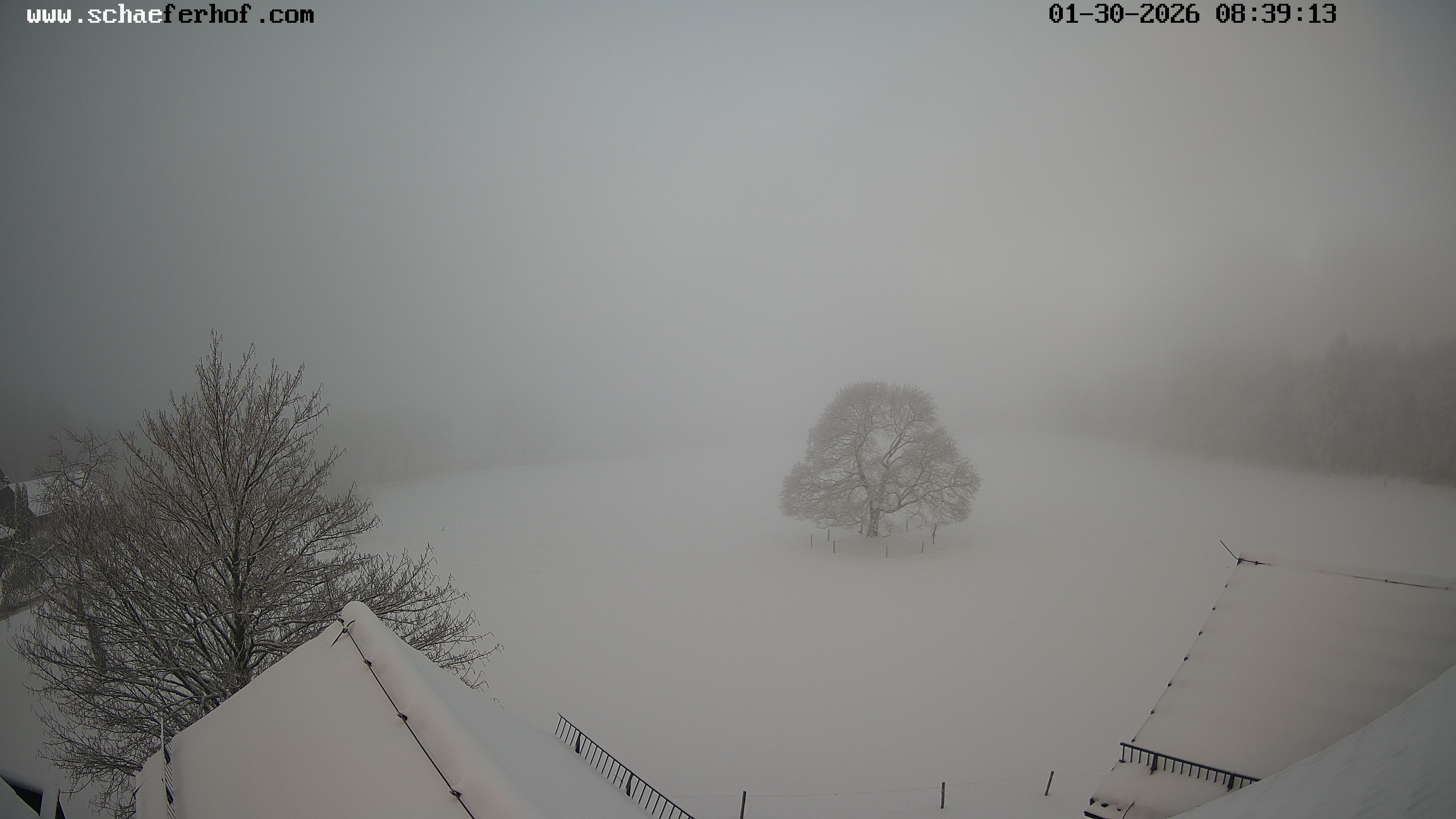 Archiv Foto Webcam Schäferhof im Sauerland