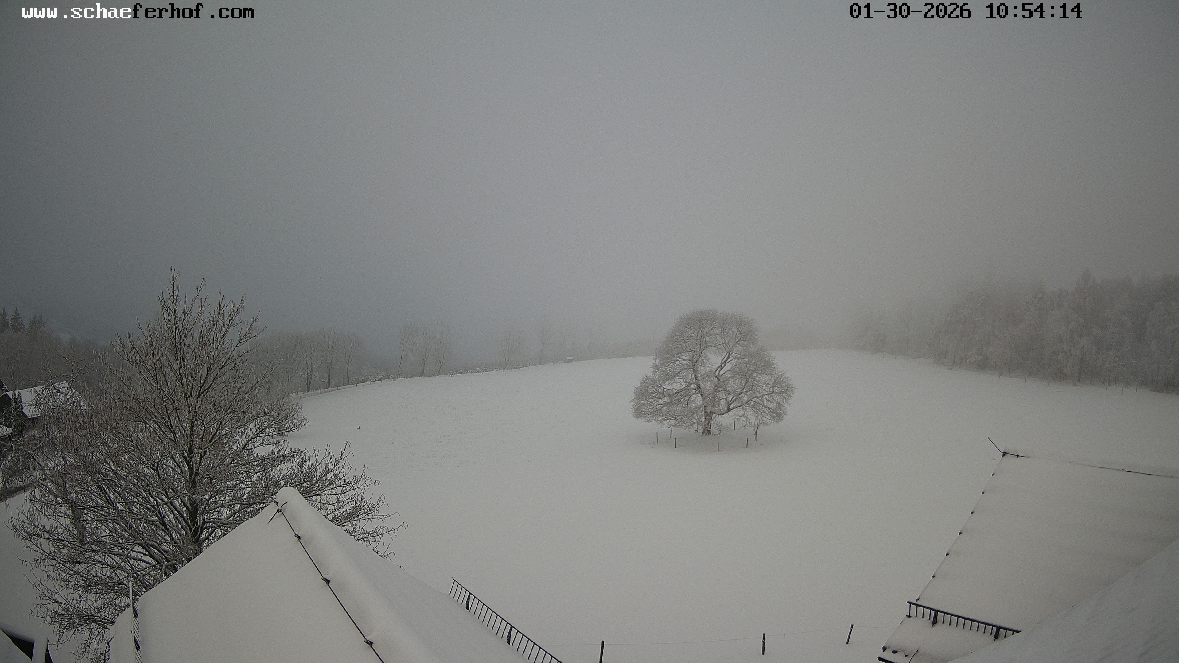 Archiv Foto Webcam Schäferhof im Sauerland