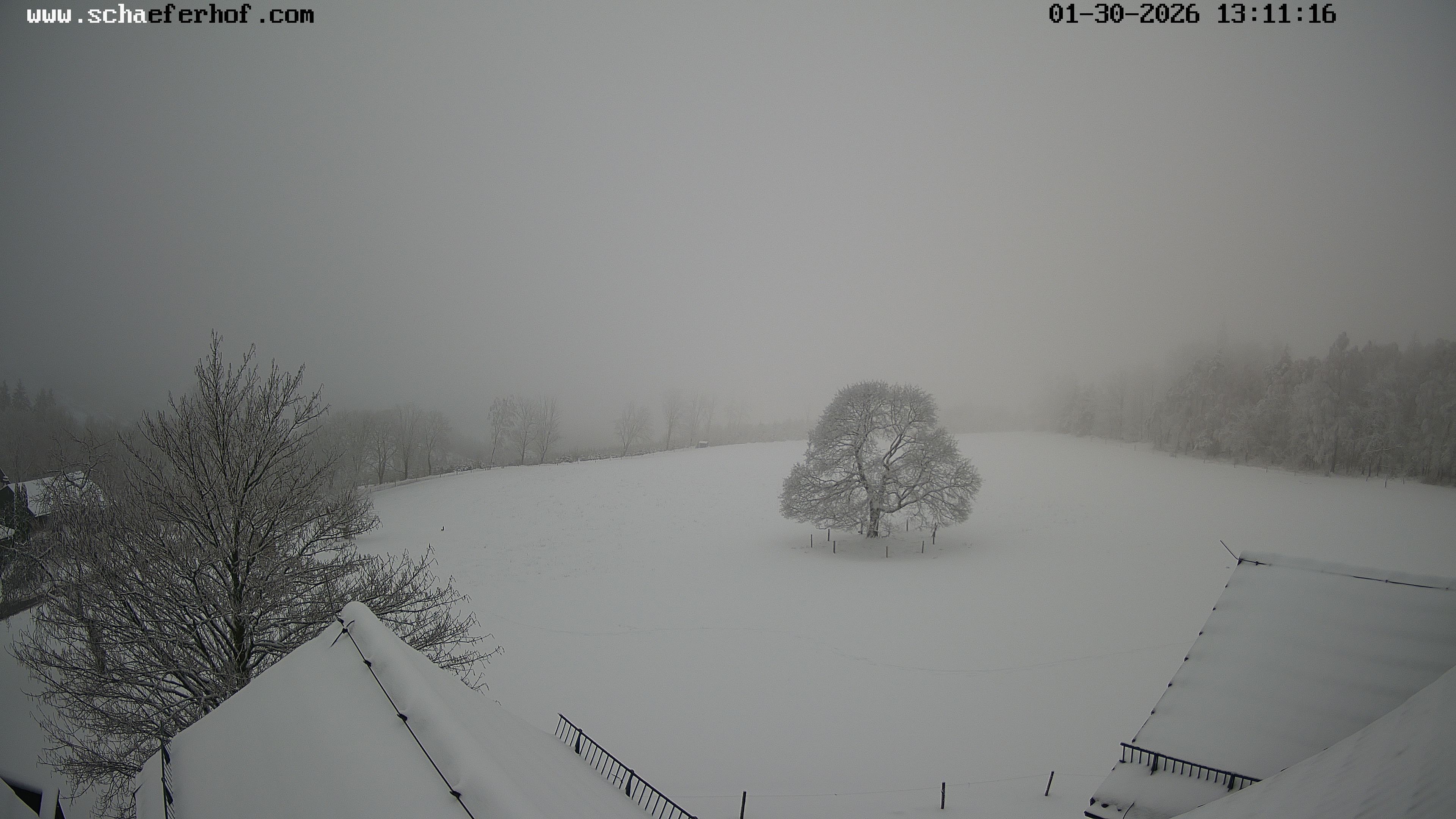 Archiv Foto Webcam Schäferhof im Sauerland