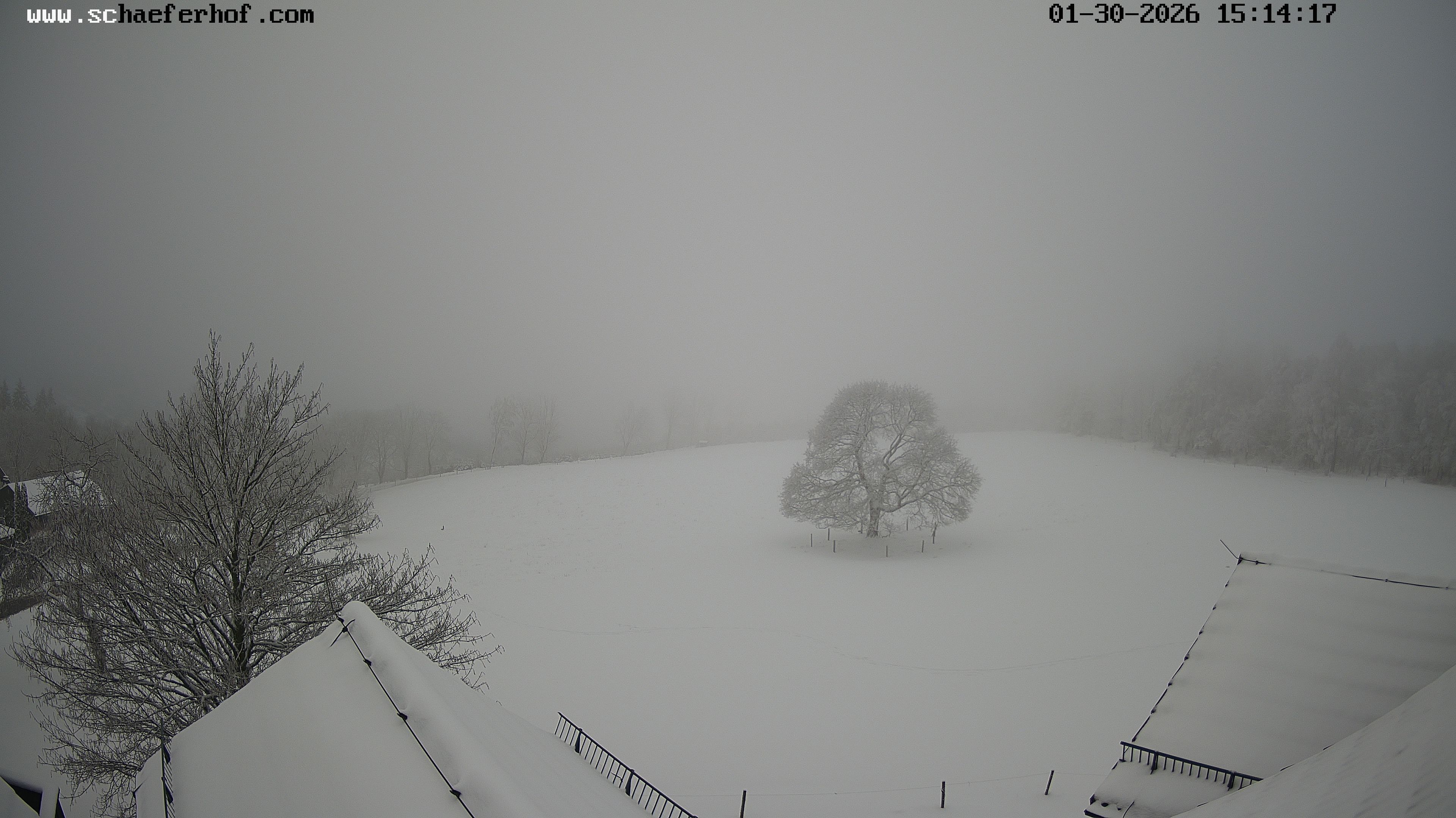 Archiv Foto Webcam Schäferhof im Sauerland