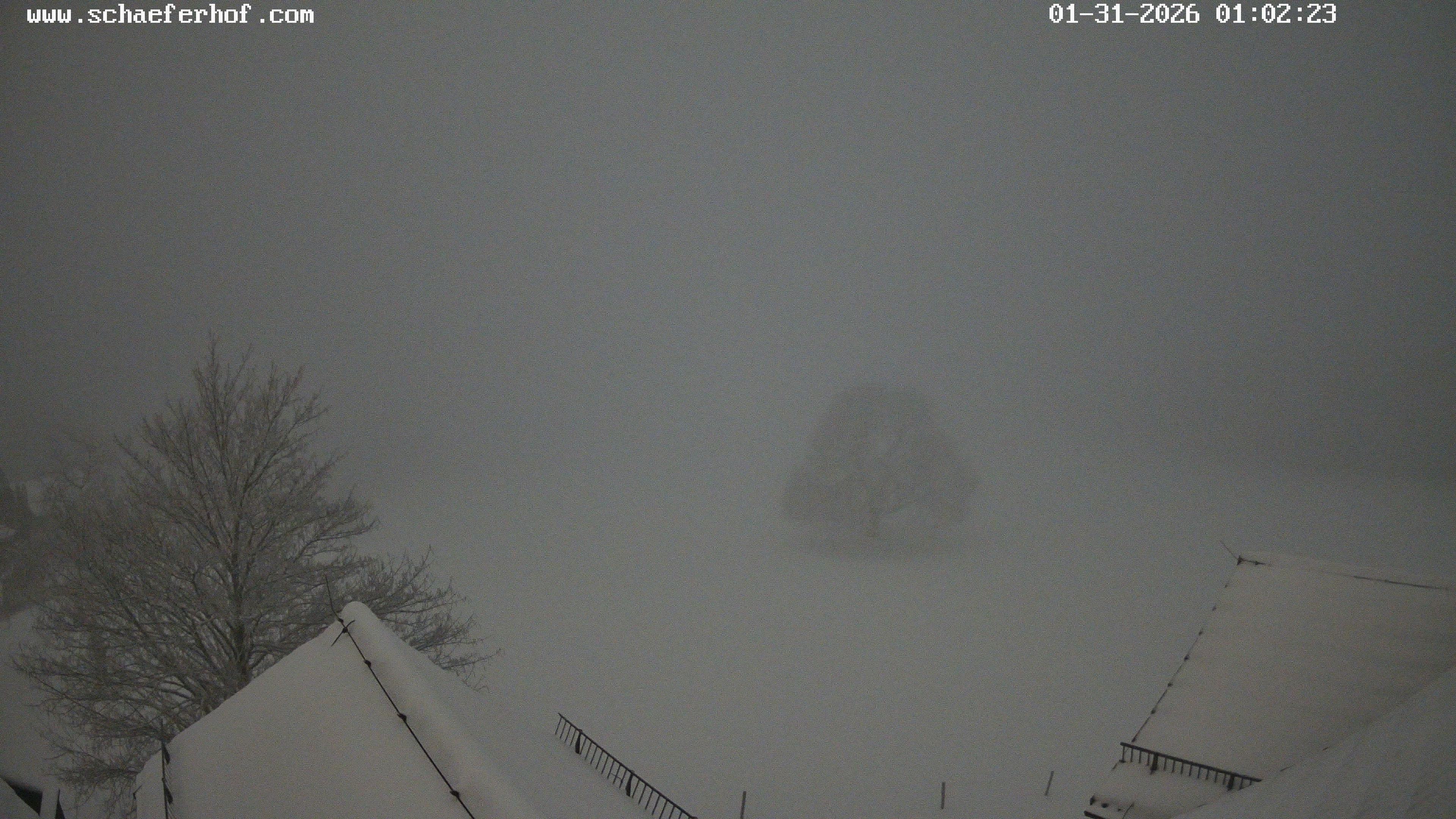 Archiv Foto Webcam Schäferhof im Sauerland