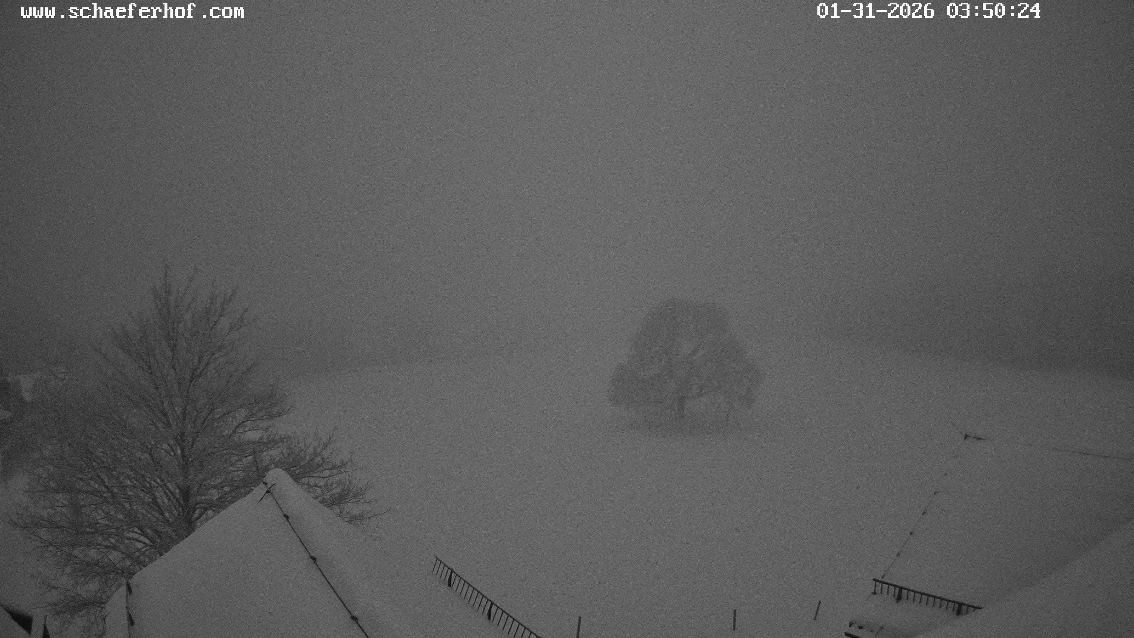 Archiv Foto Webcam Schäferhof im Sauerland