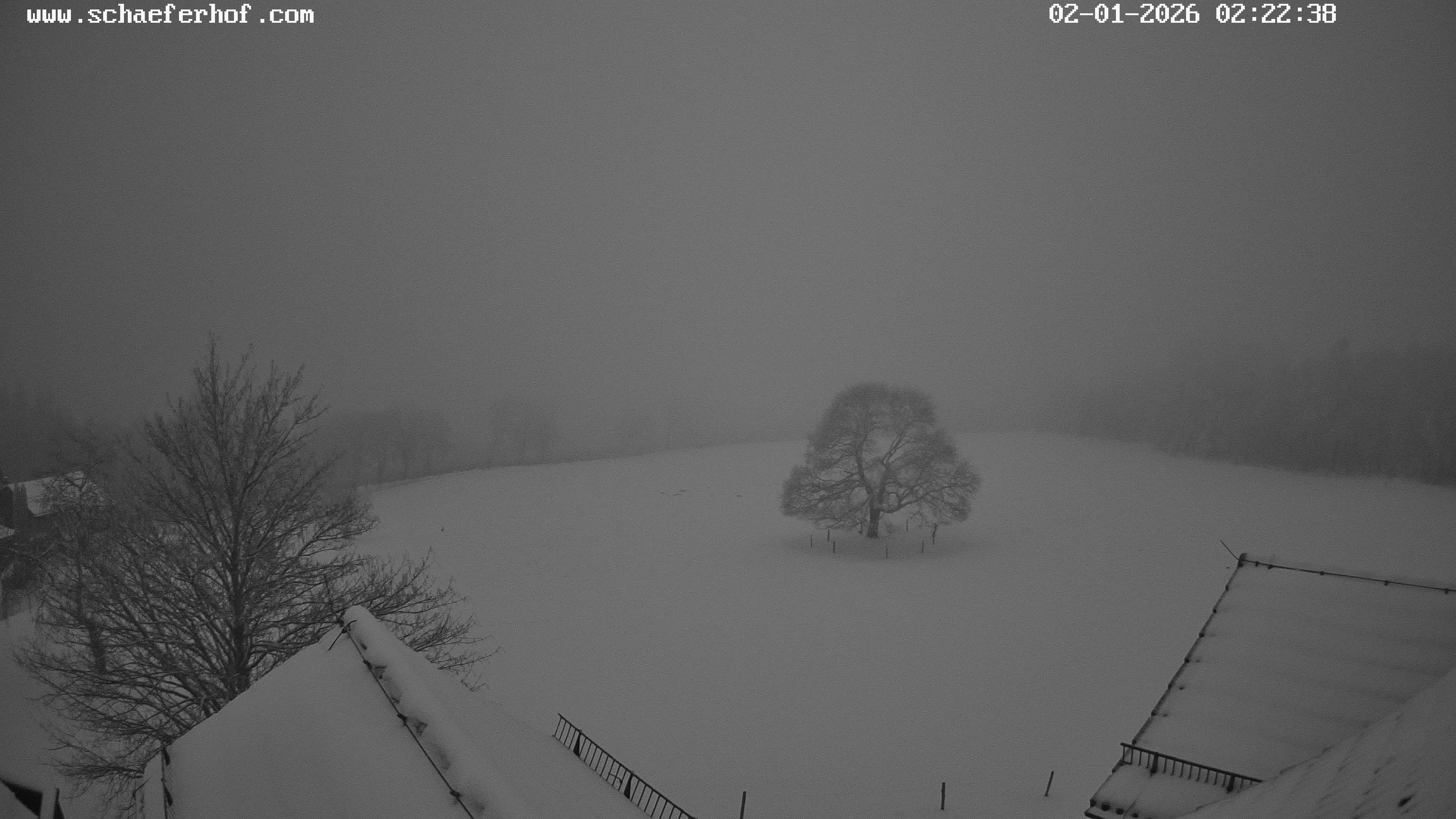 Archiv Foto Webcam Schäferhof im Sauerland