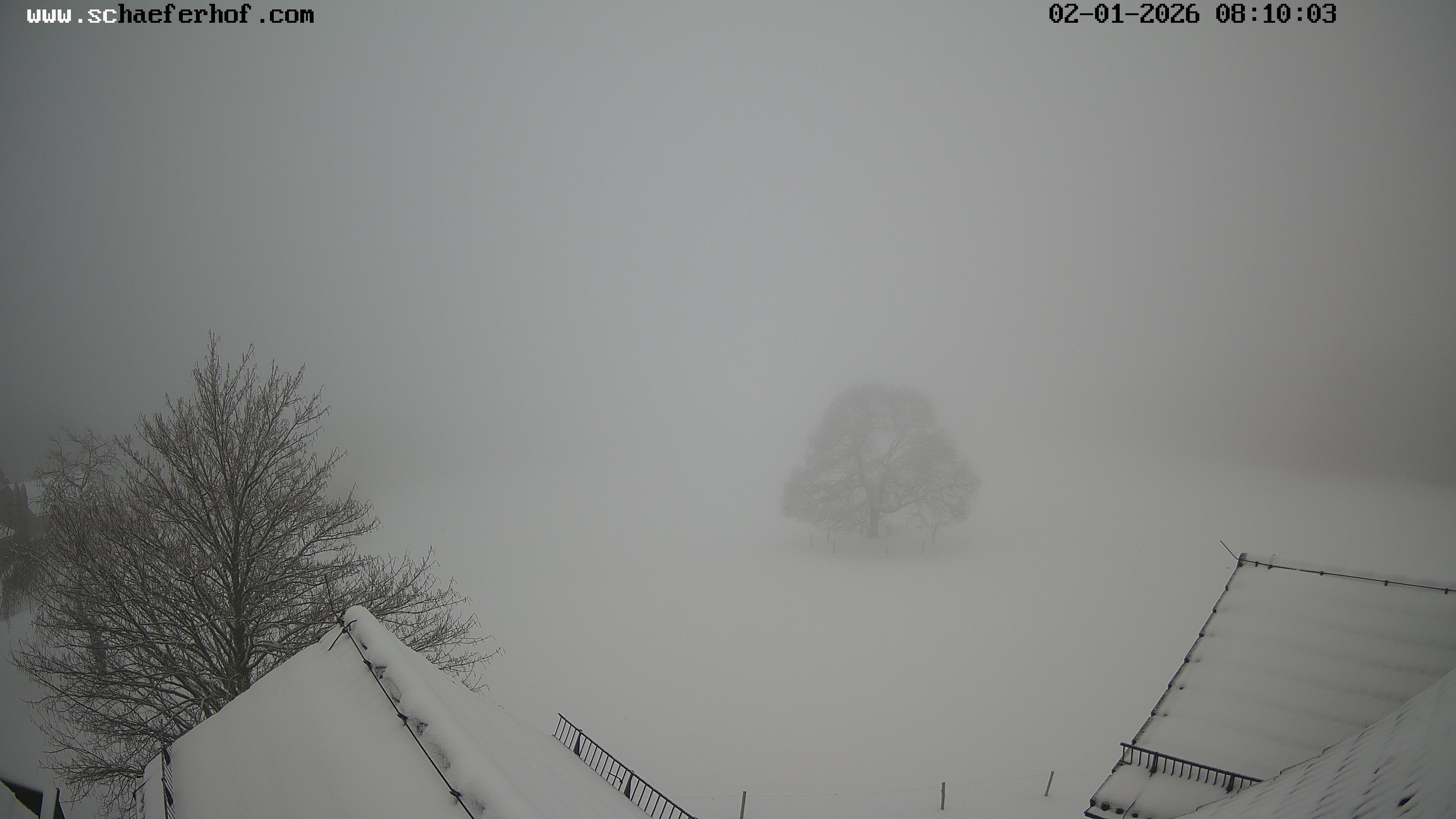Archiv Foto Webcam Schäferhof im Sauerland