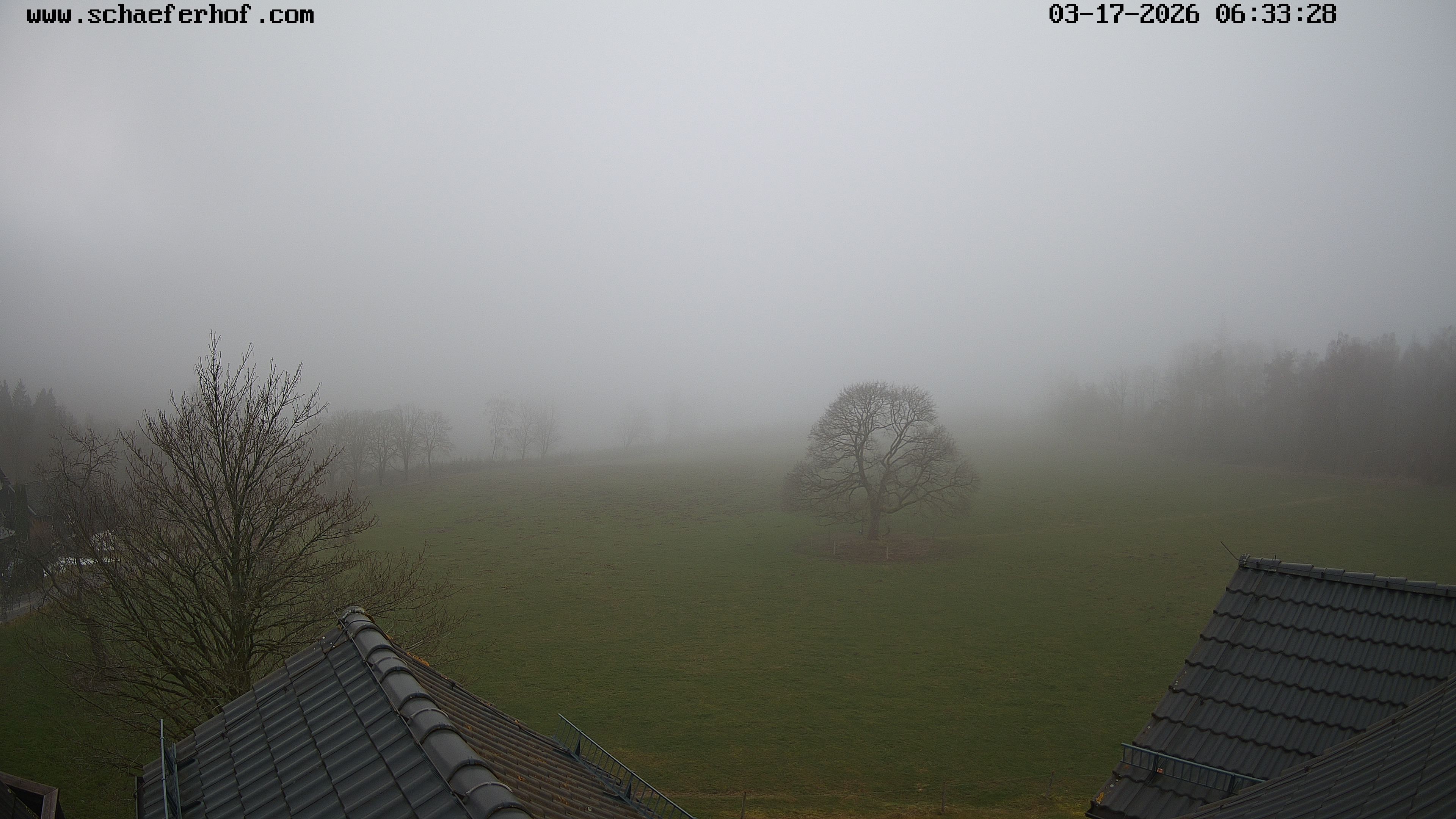 Archiv Foto Webcam Schäferhof im Sauerland