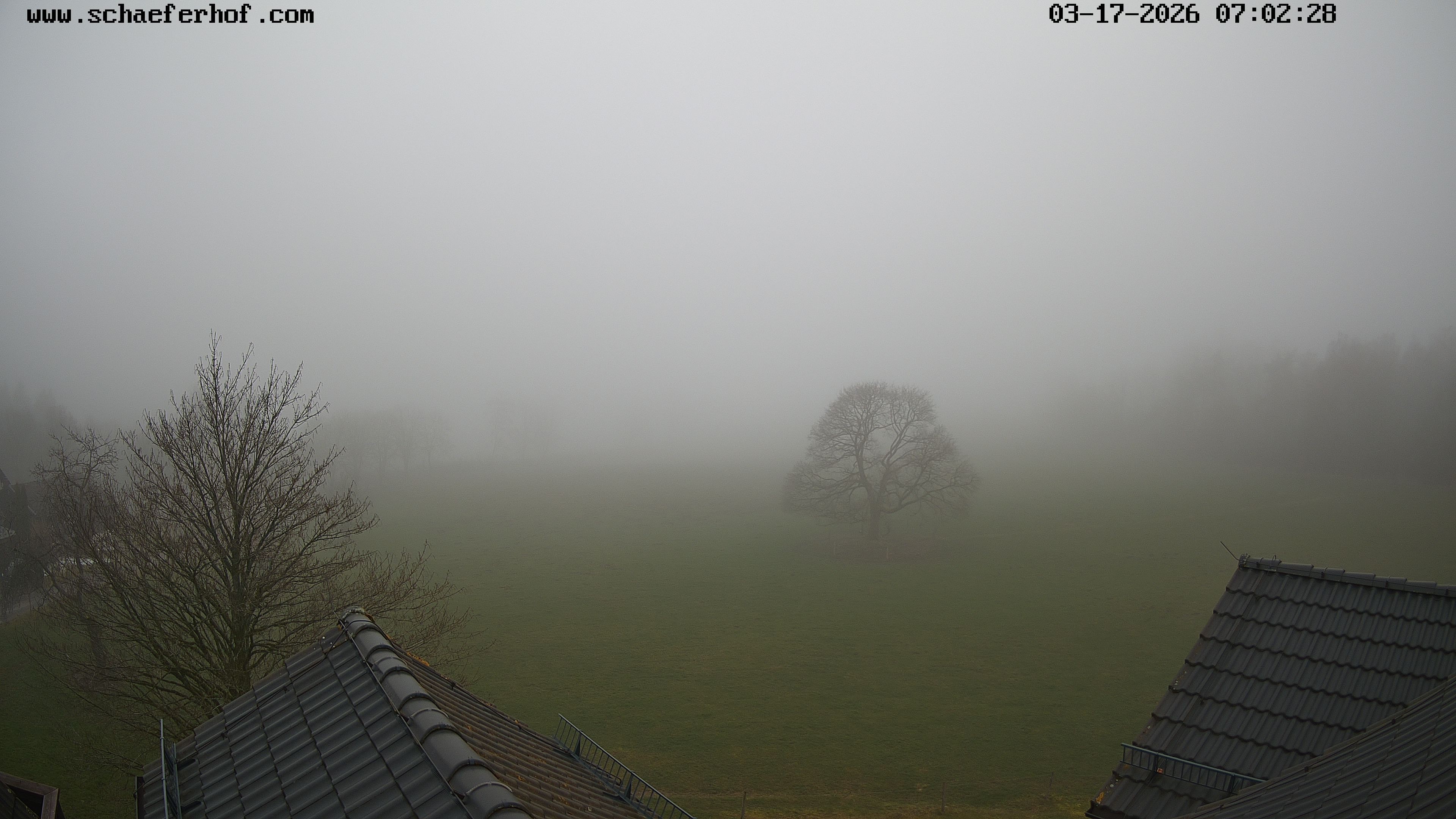 Archiv Foto Webcam Schäferhof im Sauerland