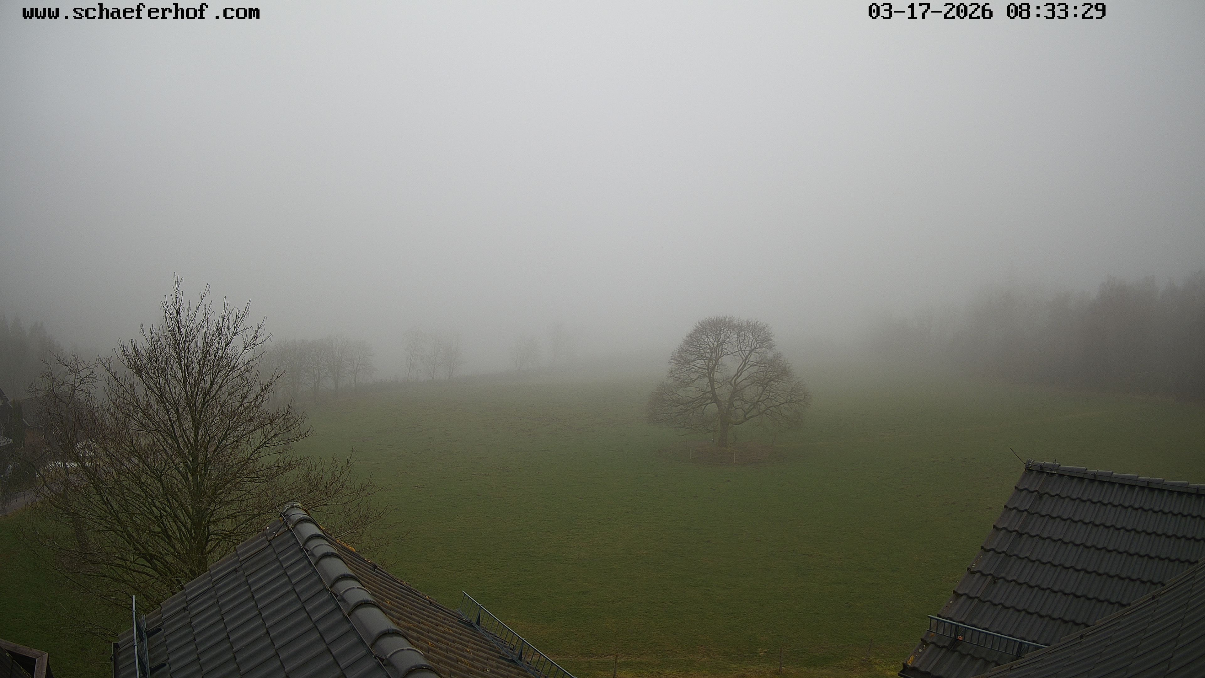 Archiv Foto Webcam Schäferhof im Sauerland
