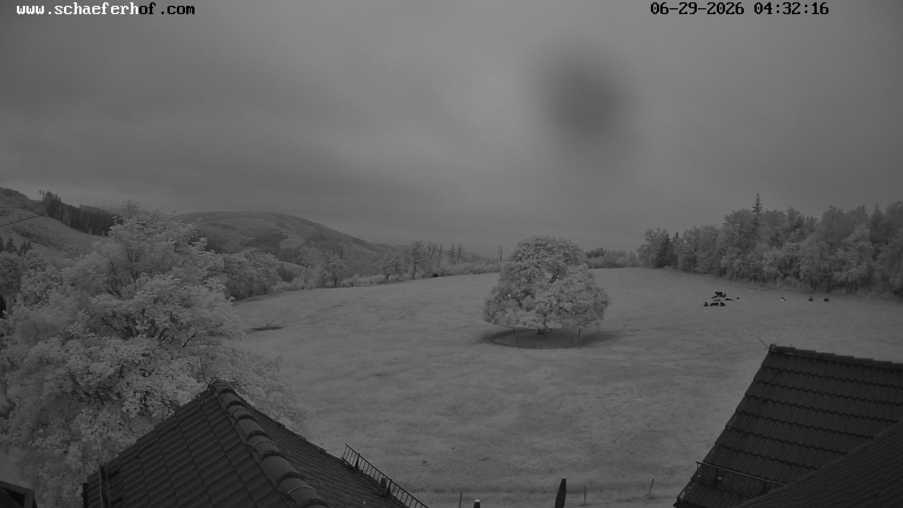 Archiv Foto Webcam Schäferhof im Sauerland
