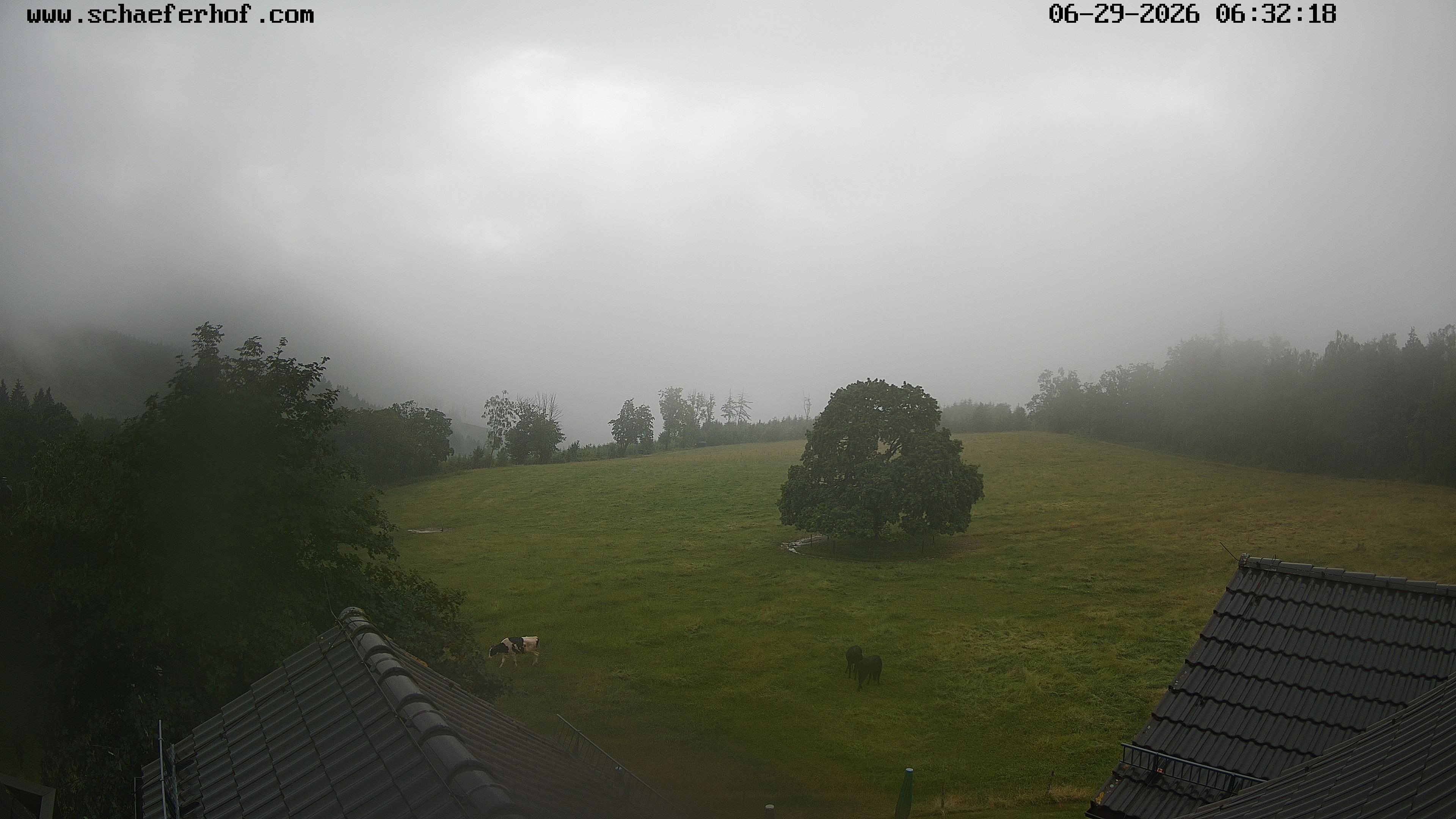 Archiv Foto Webcam Schäferhof im Sauerland