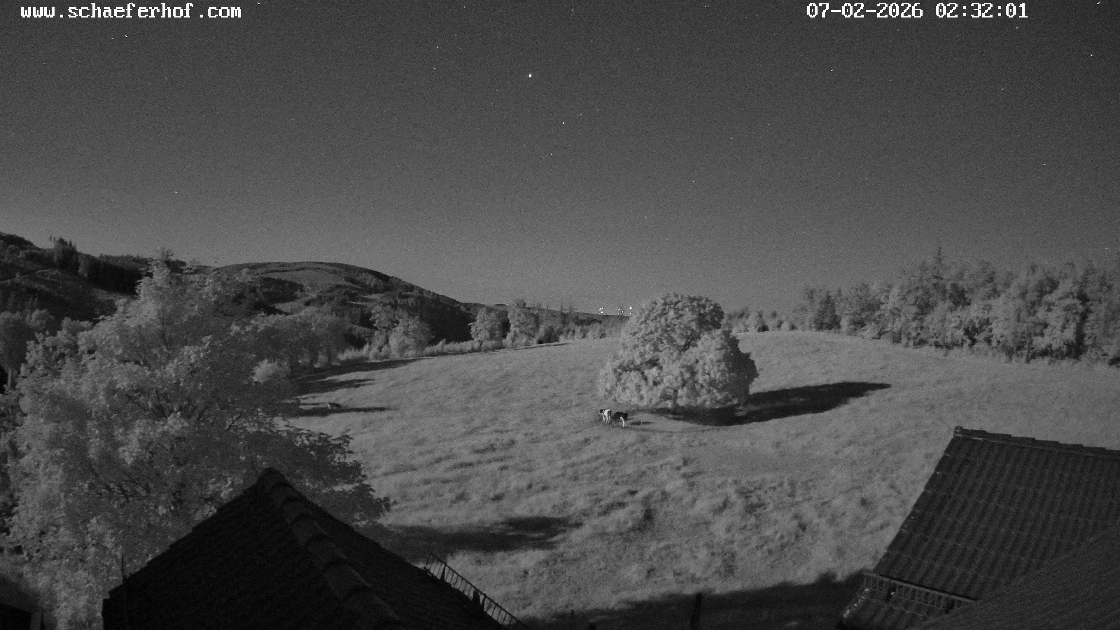 Archived image Webcam Schmallenberg: Hotel Schäferhof