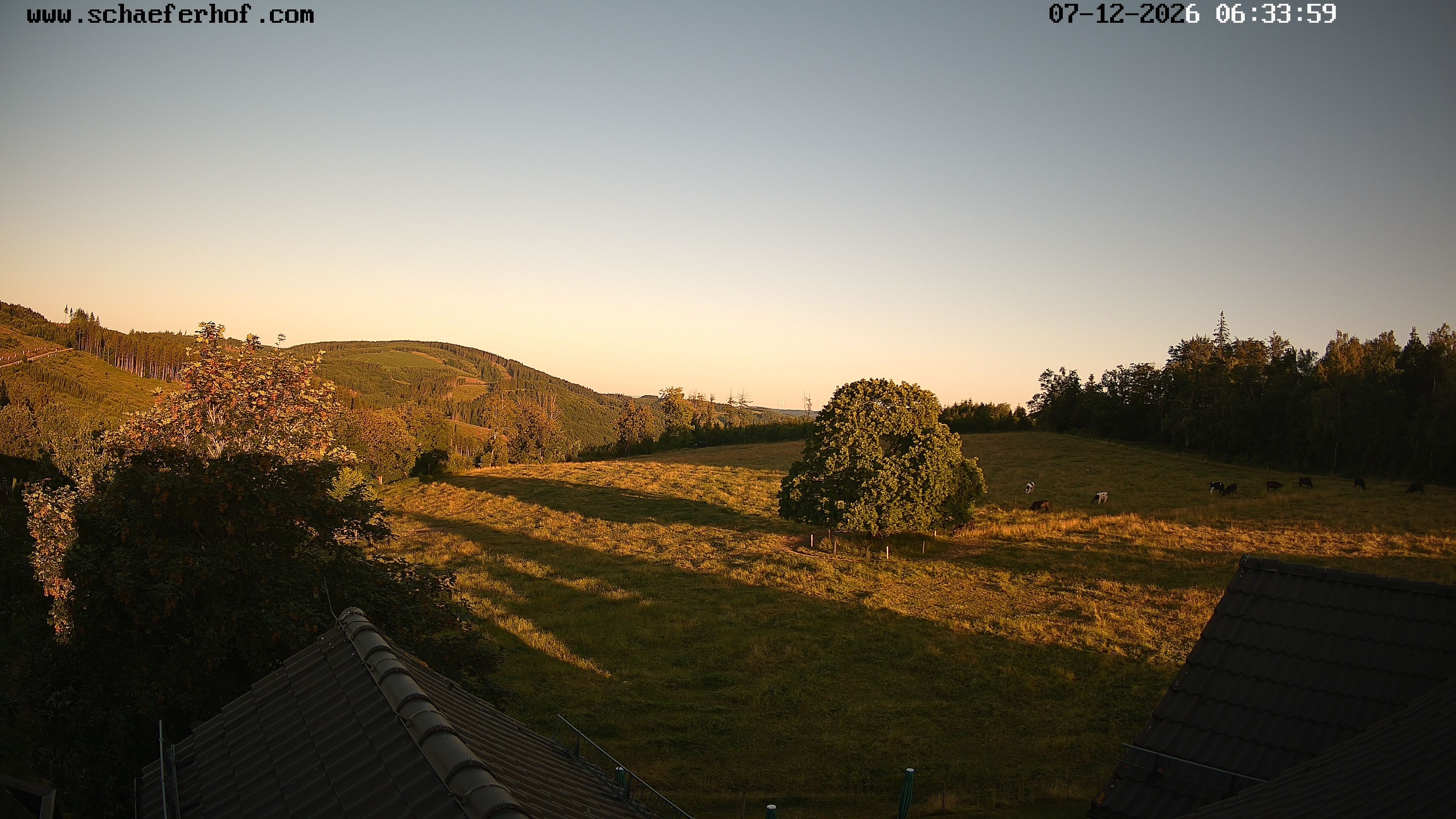 Archiv Foto Webcam Schäferhof im Sauerland