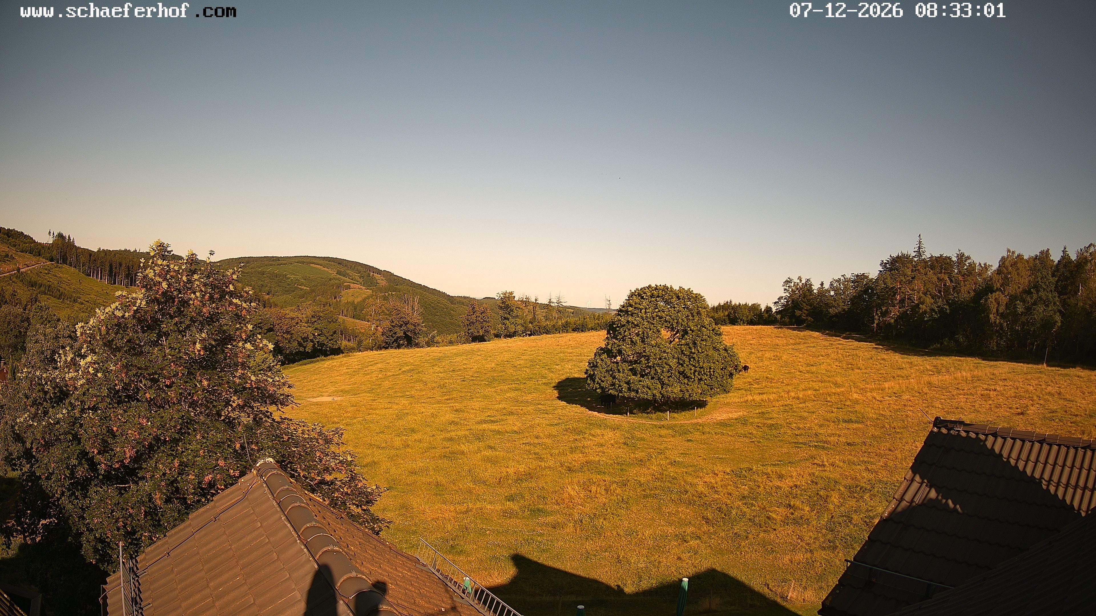 Archiv Foto Webcam Schäferhof im Sauerland