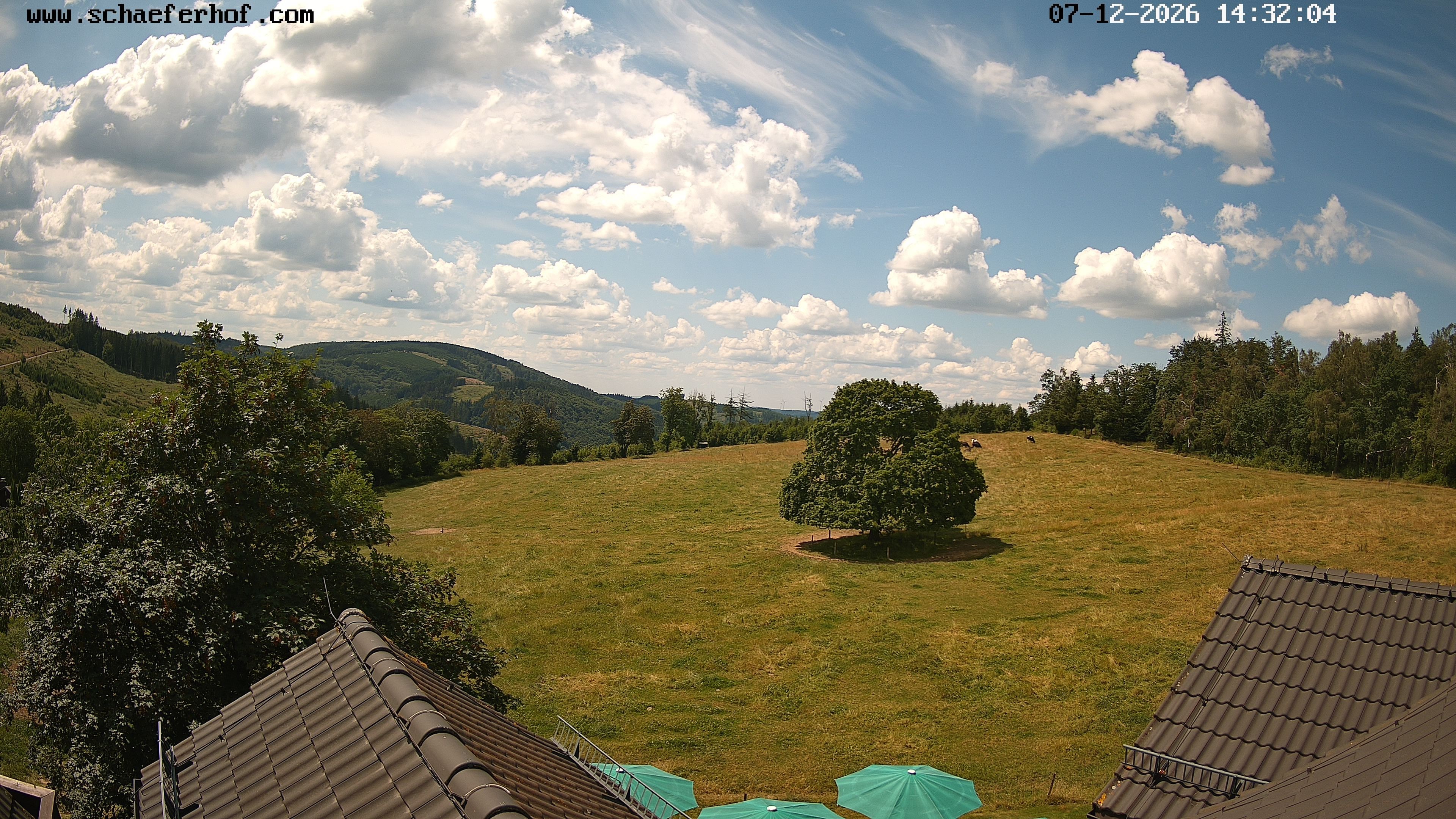 Archiv Foto Webcam Schäferhof im Sauerland