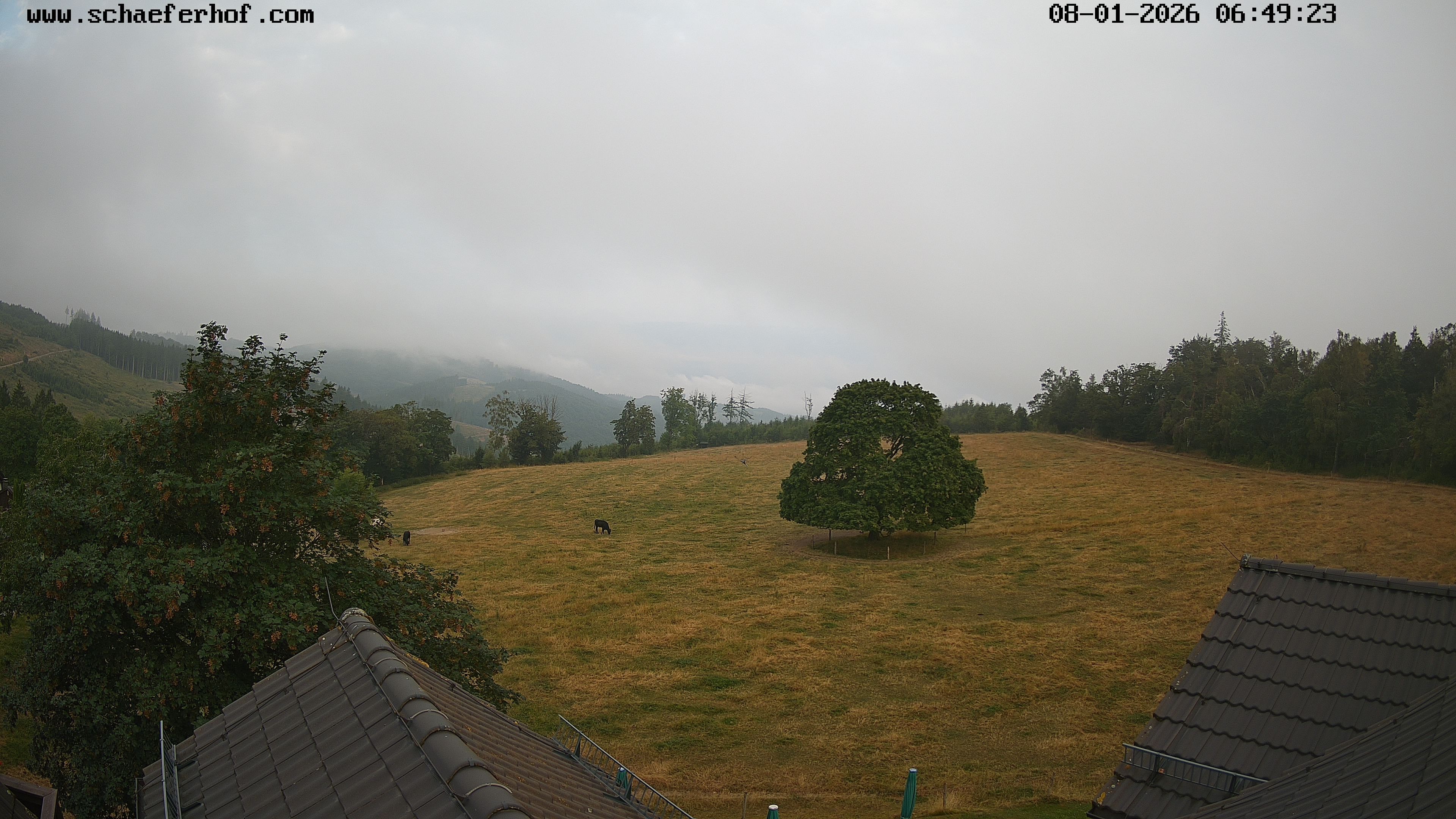 Archived image Webcam Schmallenberg: Hotel Schäferhof