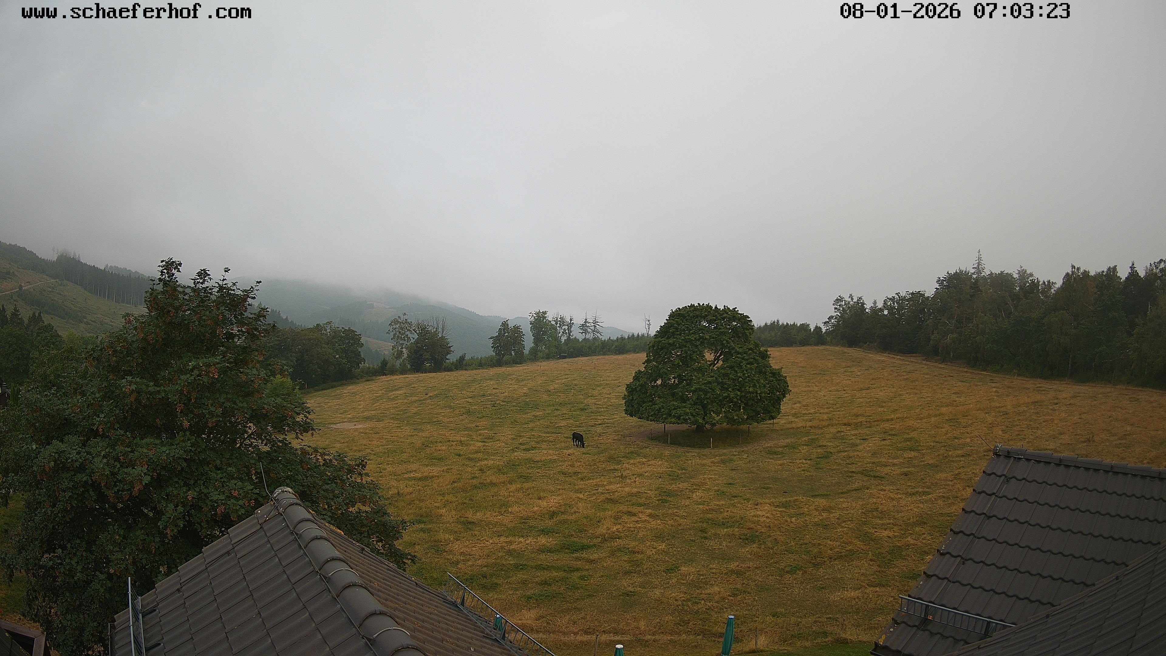 Archived image Webcam Schmallenberg: Hotel Schäferhof