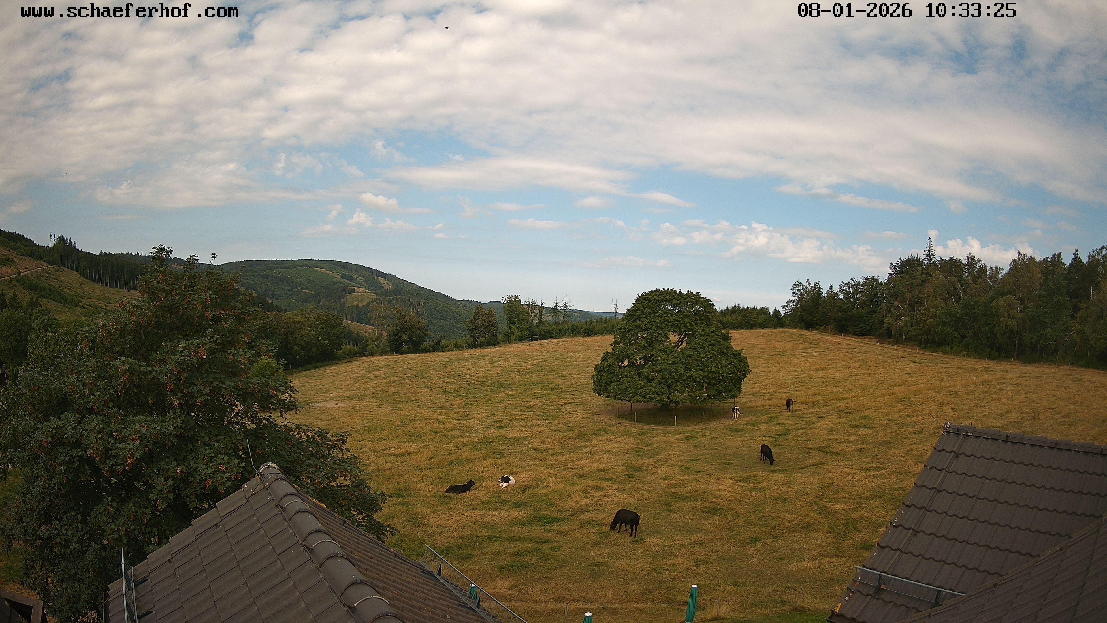 Archived image Webcam Schmallenberg: Hotel Schäferhof