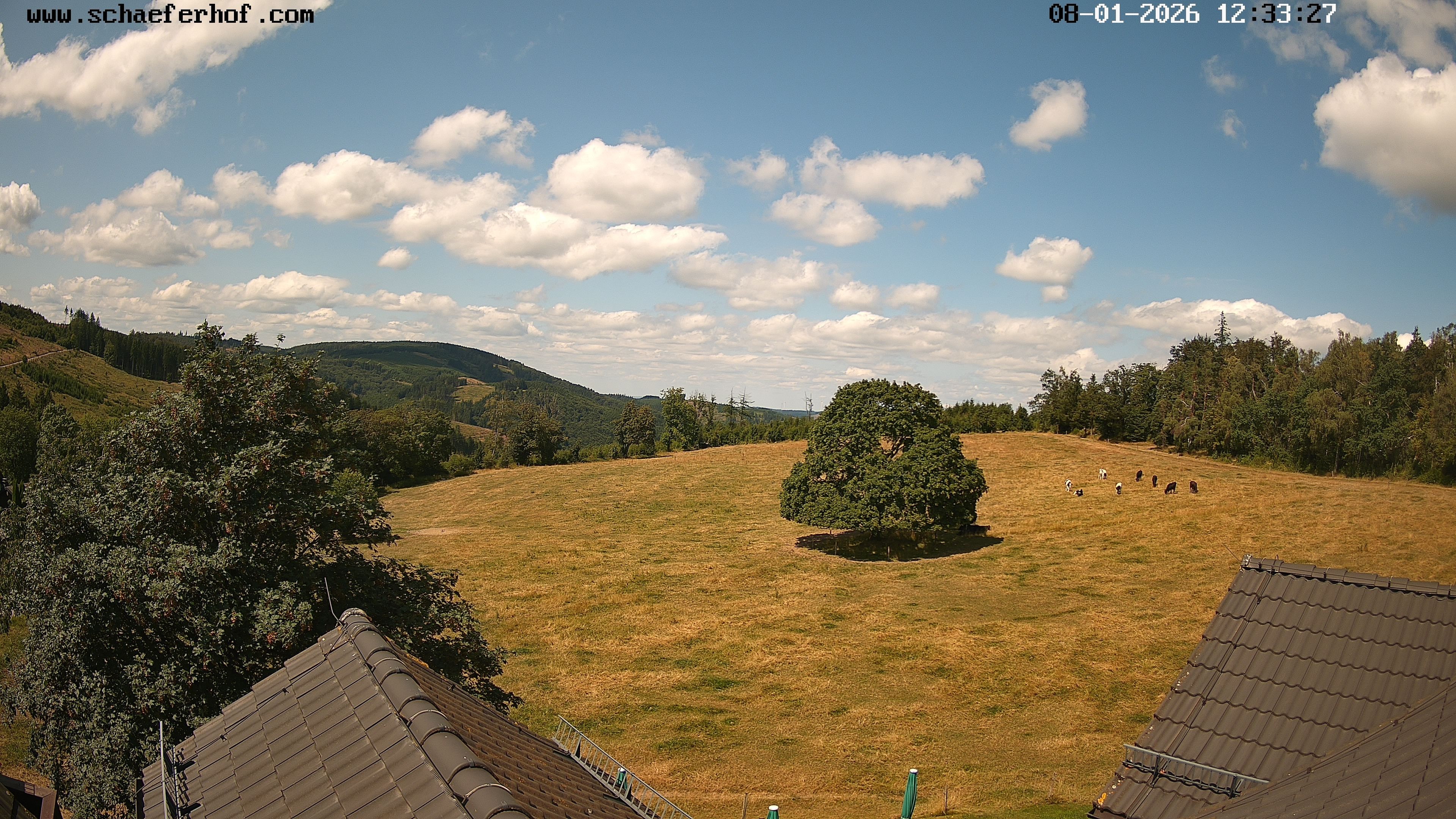 Archived image Webcam Schmallenberg: Hotel Schäferhof