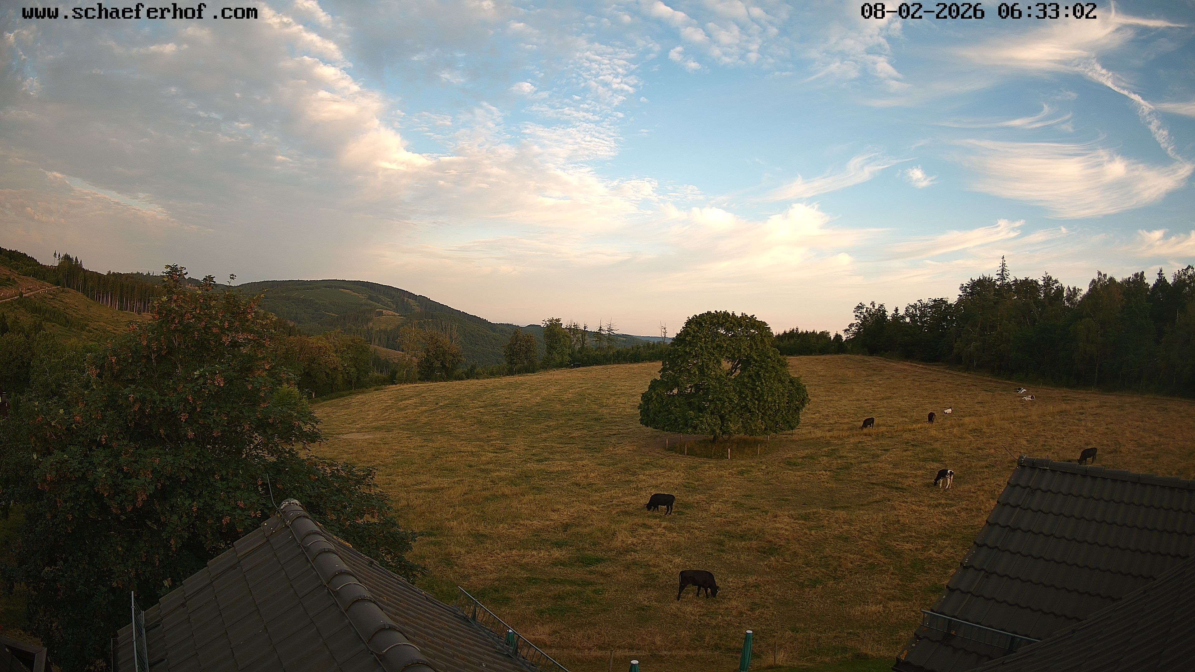 Archiv Foto Webcam Schäferhof im Sauerland