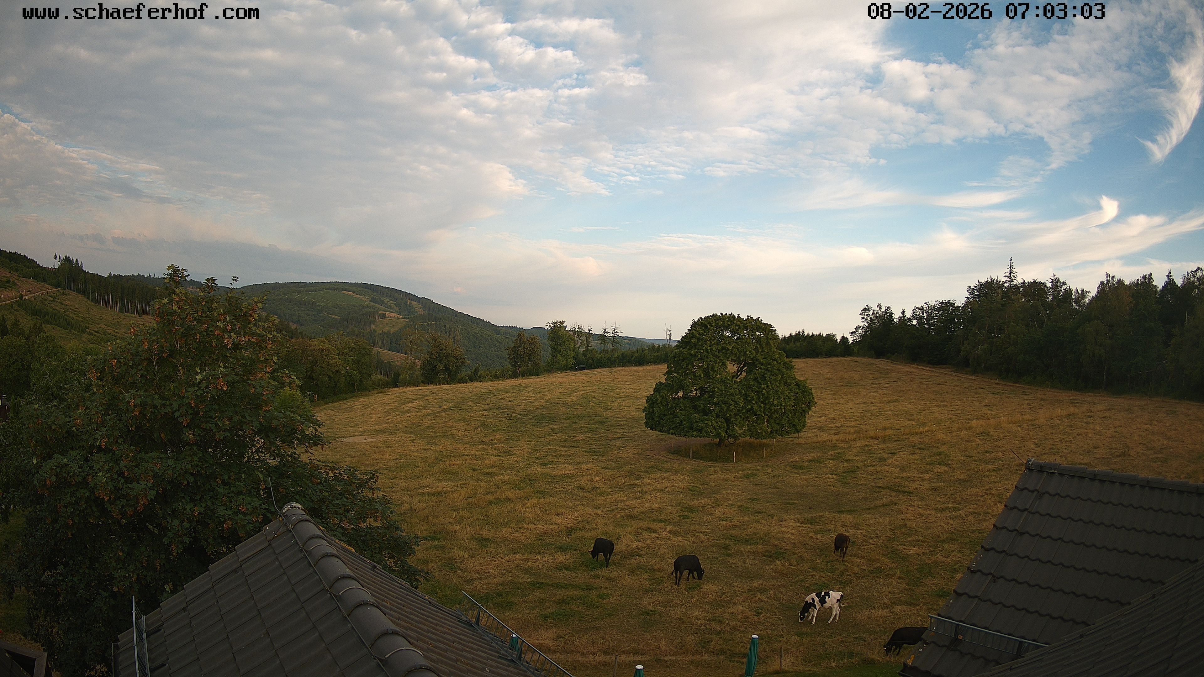 Archiv Foto Webcam Schäferhof im Sauerland