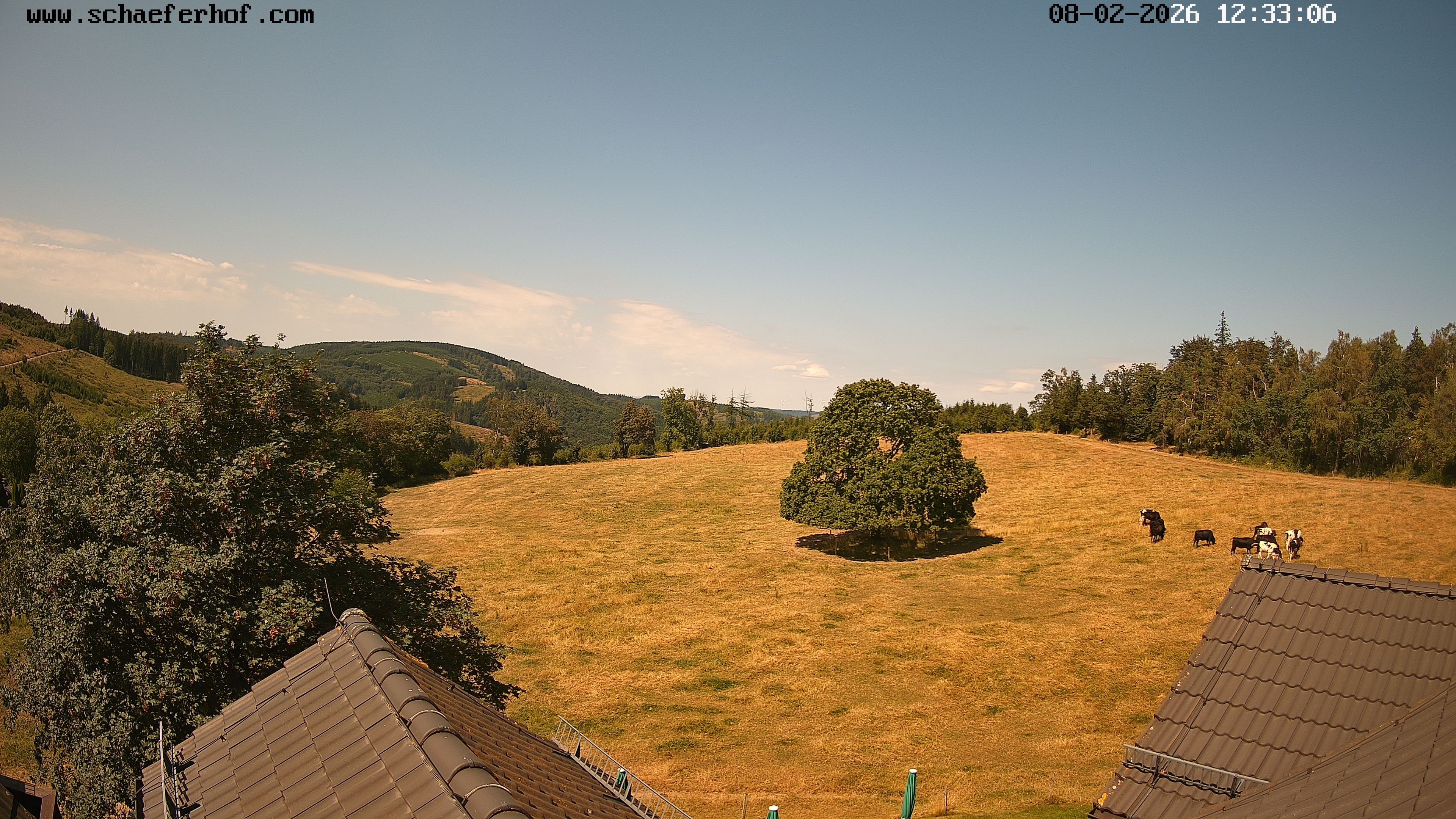 Archiv Foto Webcam Schäferhof im Sauerland
