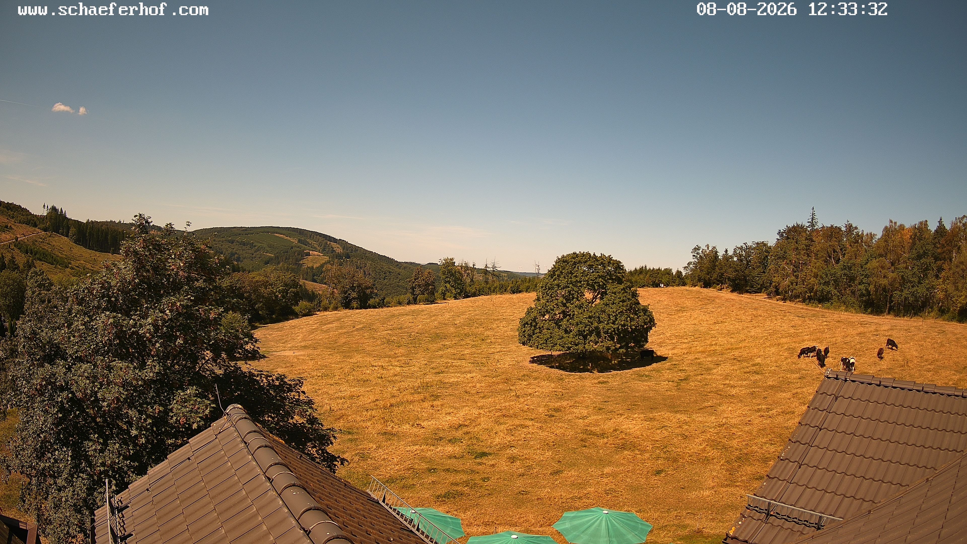 Archived image Webcam Schmallenberg: Hotel Schäferhof