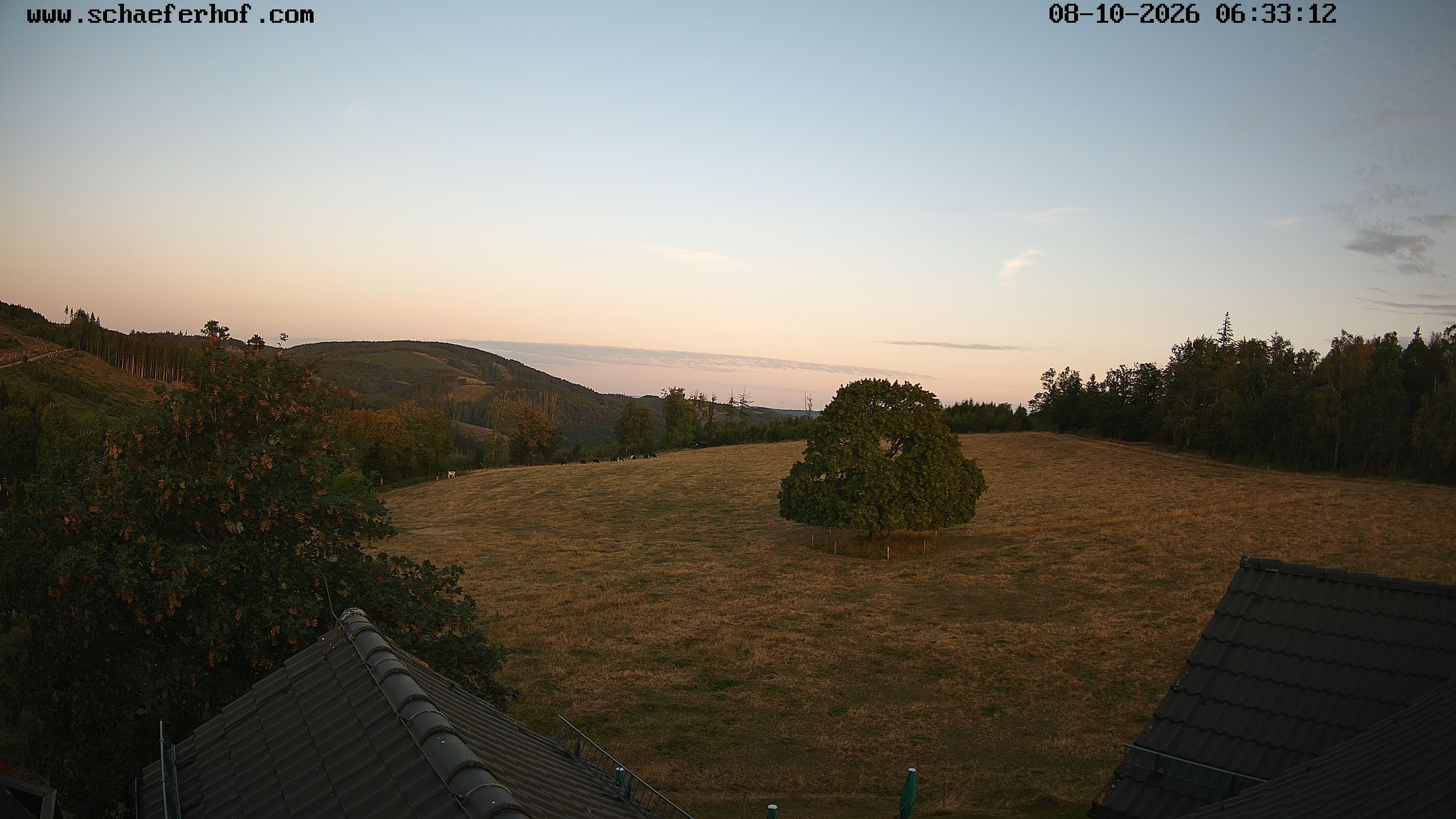 Archiv Foto Webcam Schäferhof im Sauerland