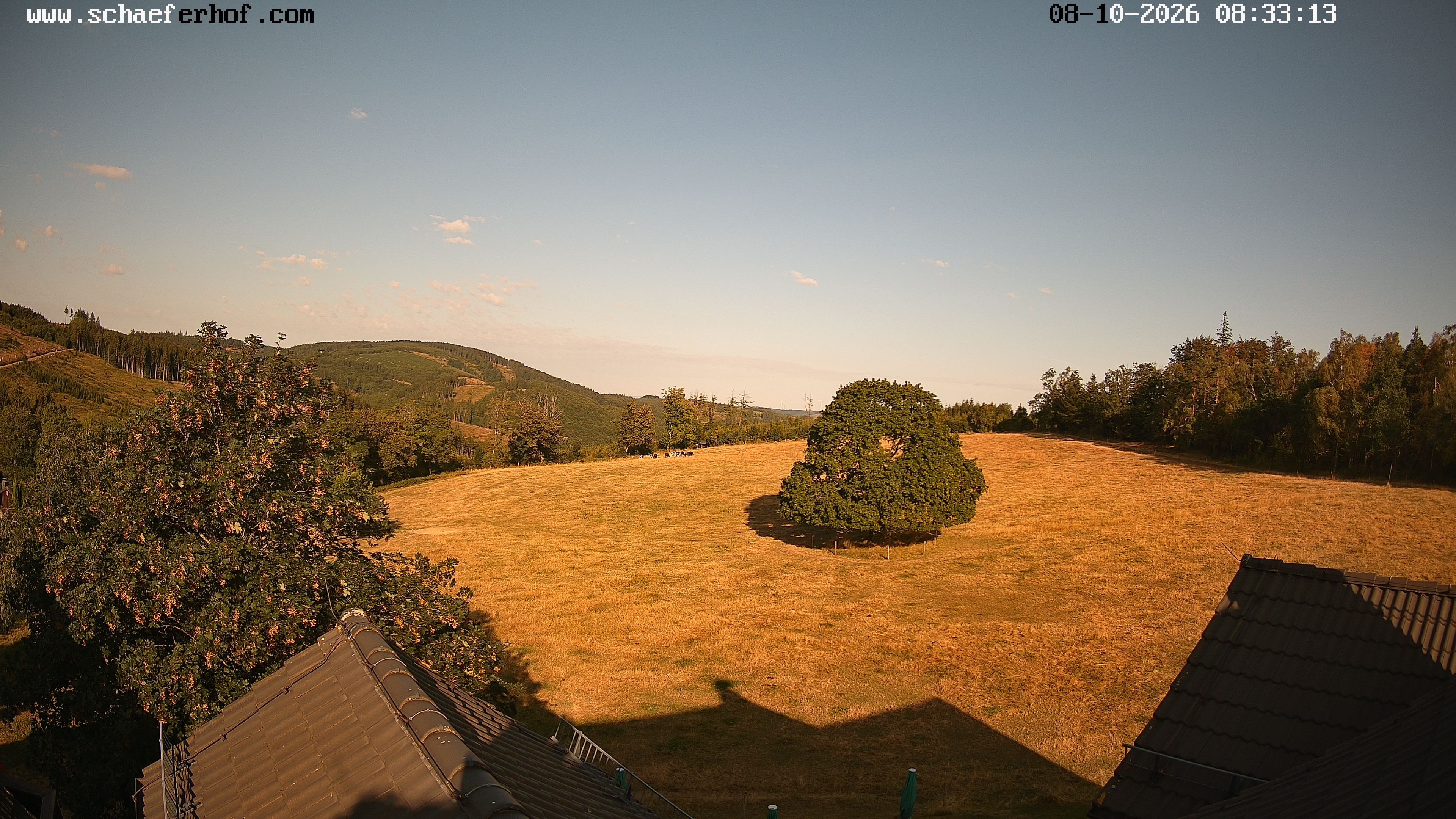 Archiv Foto Webcam Schäferhof im Sauerland