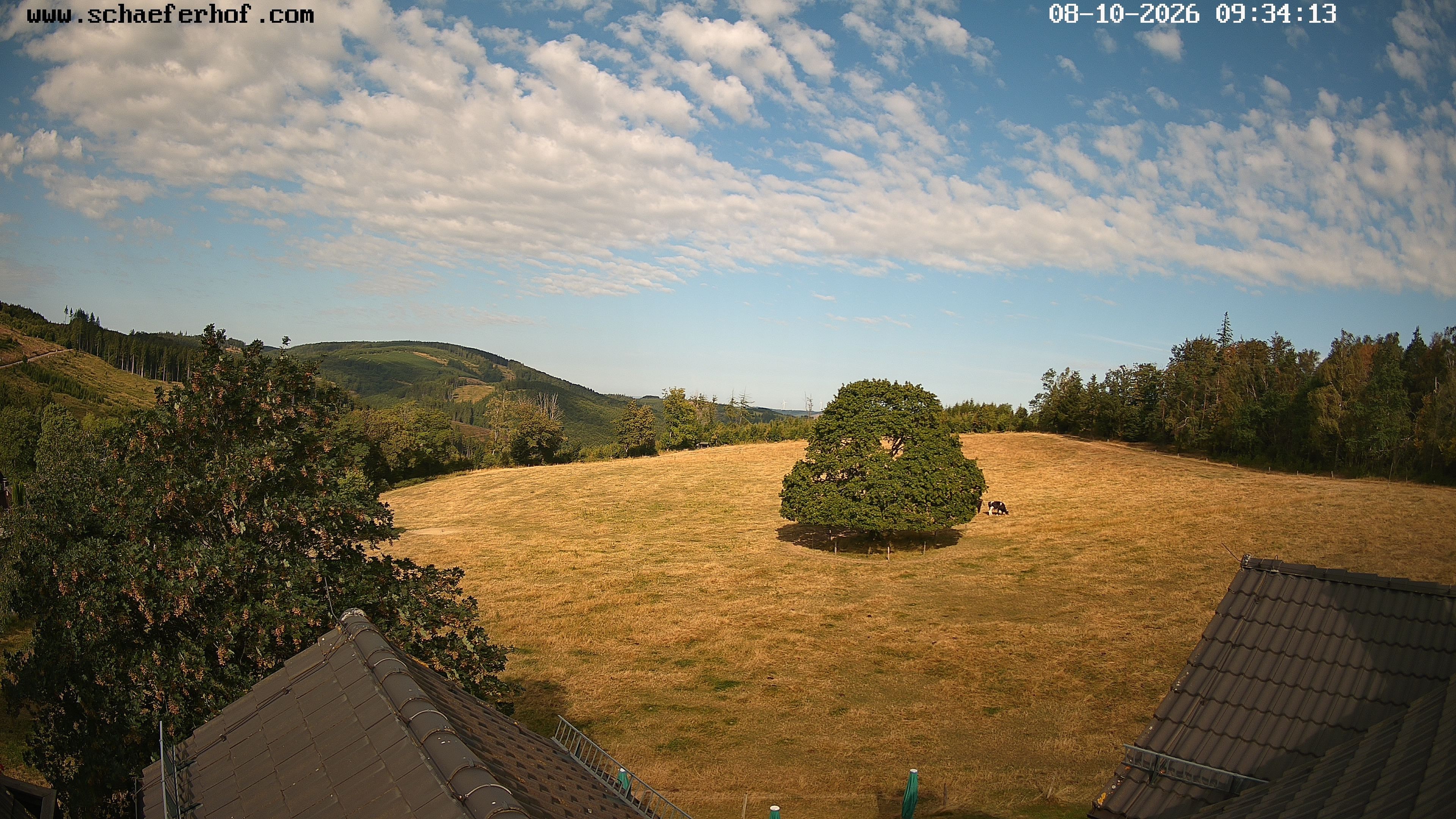 Archiv Foto Webcam Schäferhof im Sauerland