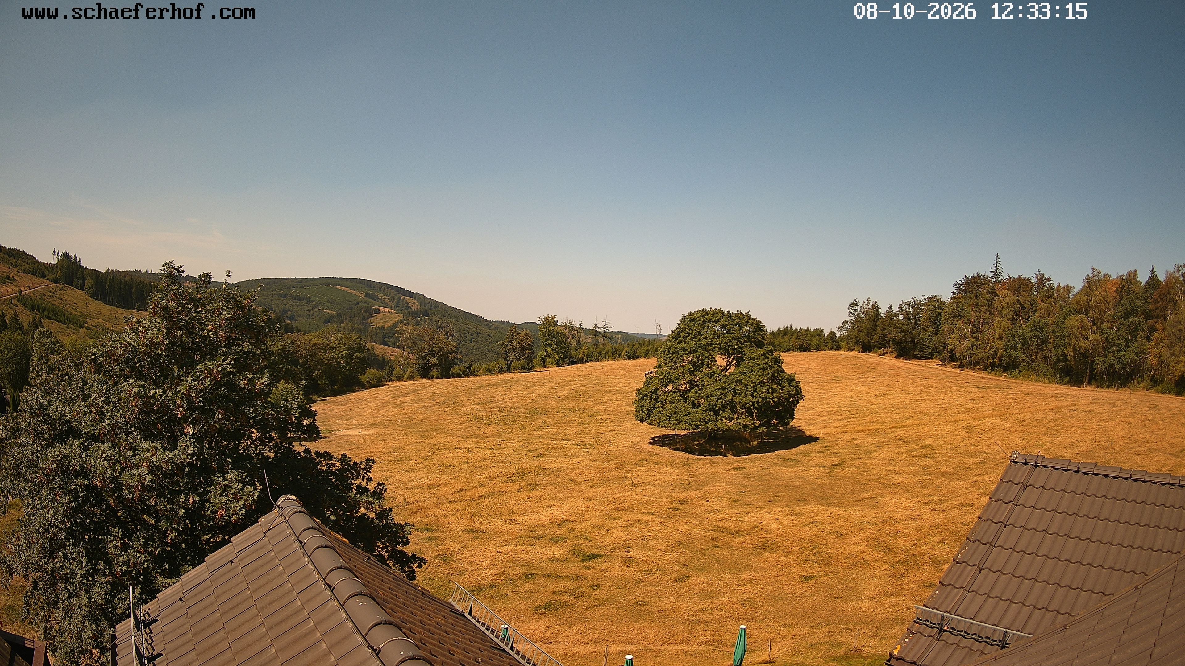 Archiv Foto Webcam Schäferhof im Sauerland