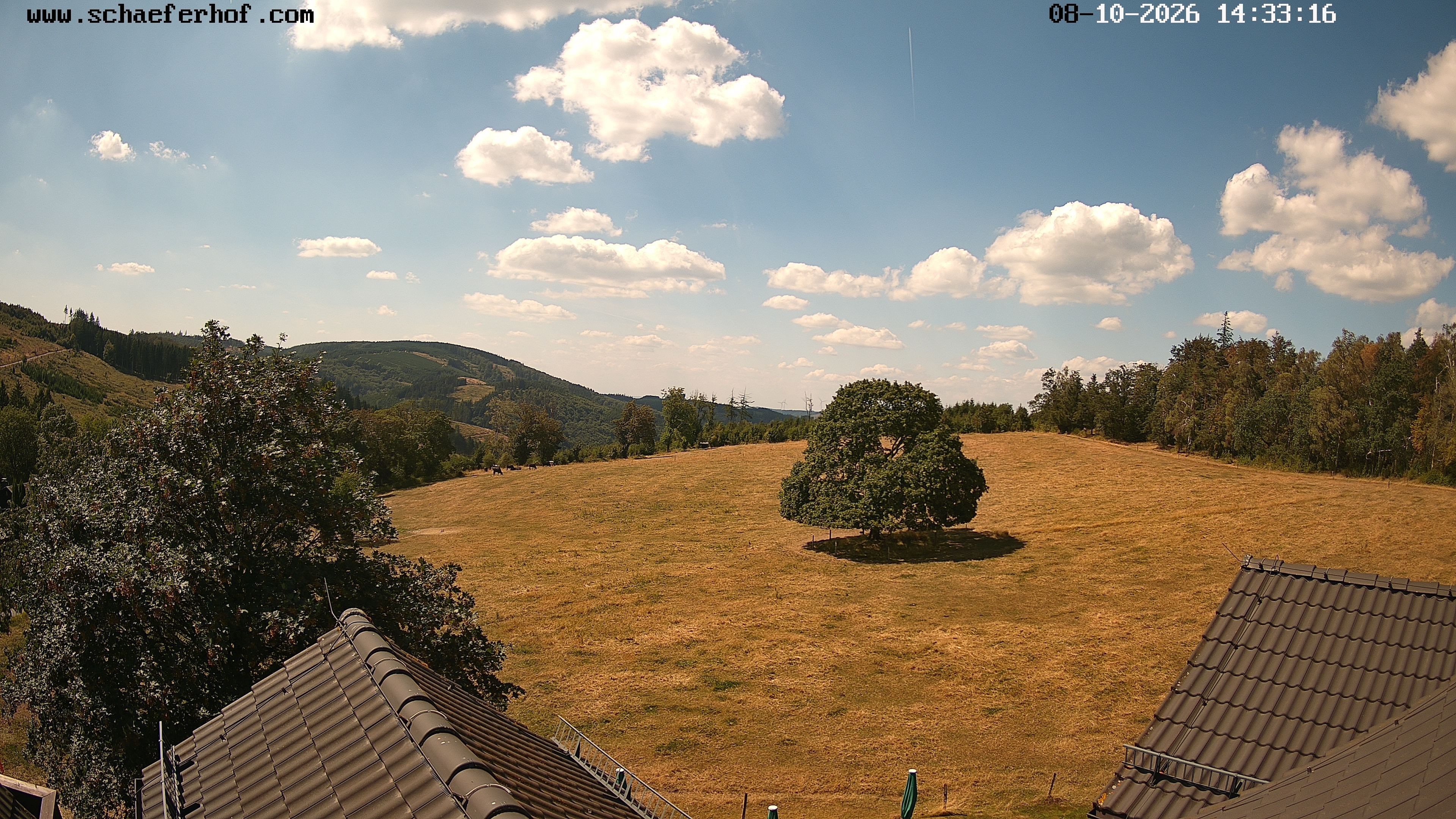 Archiv Foto Webcam Schäferhof im Sauerland