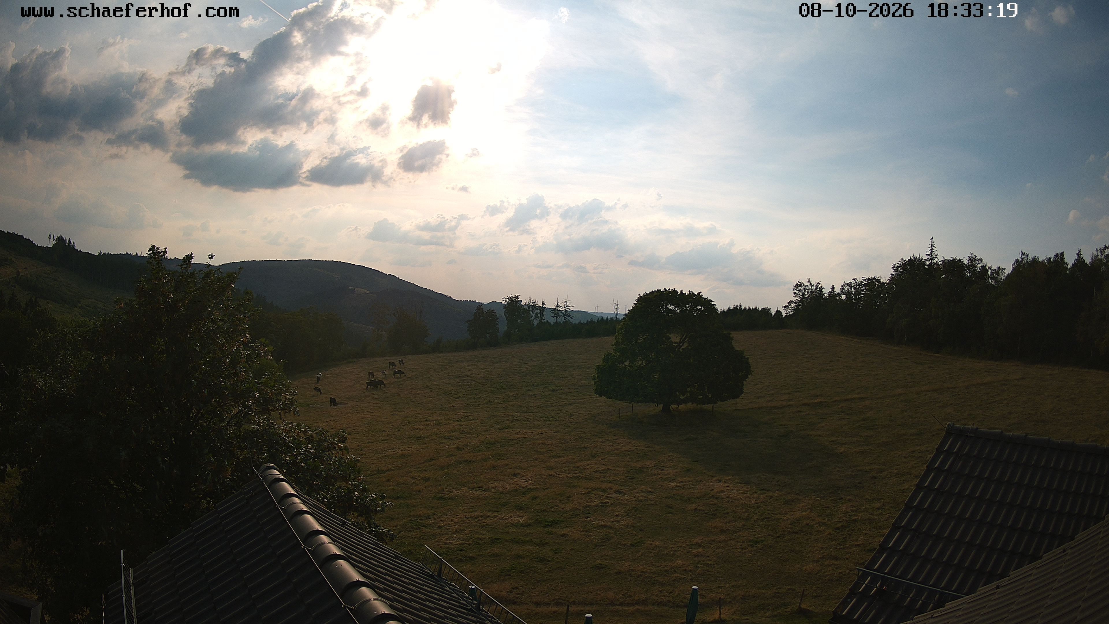 Archiv Foto Webcam Schäferhof im Sauerland