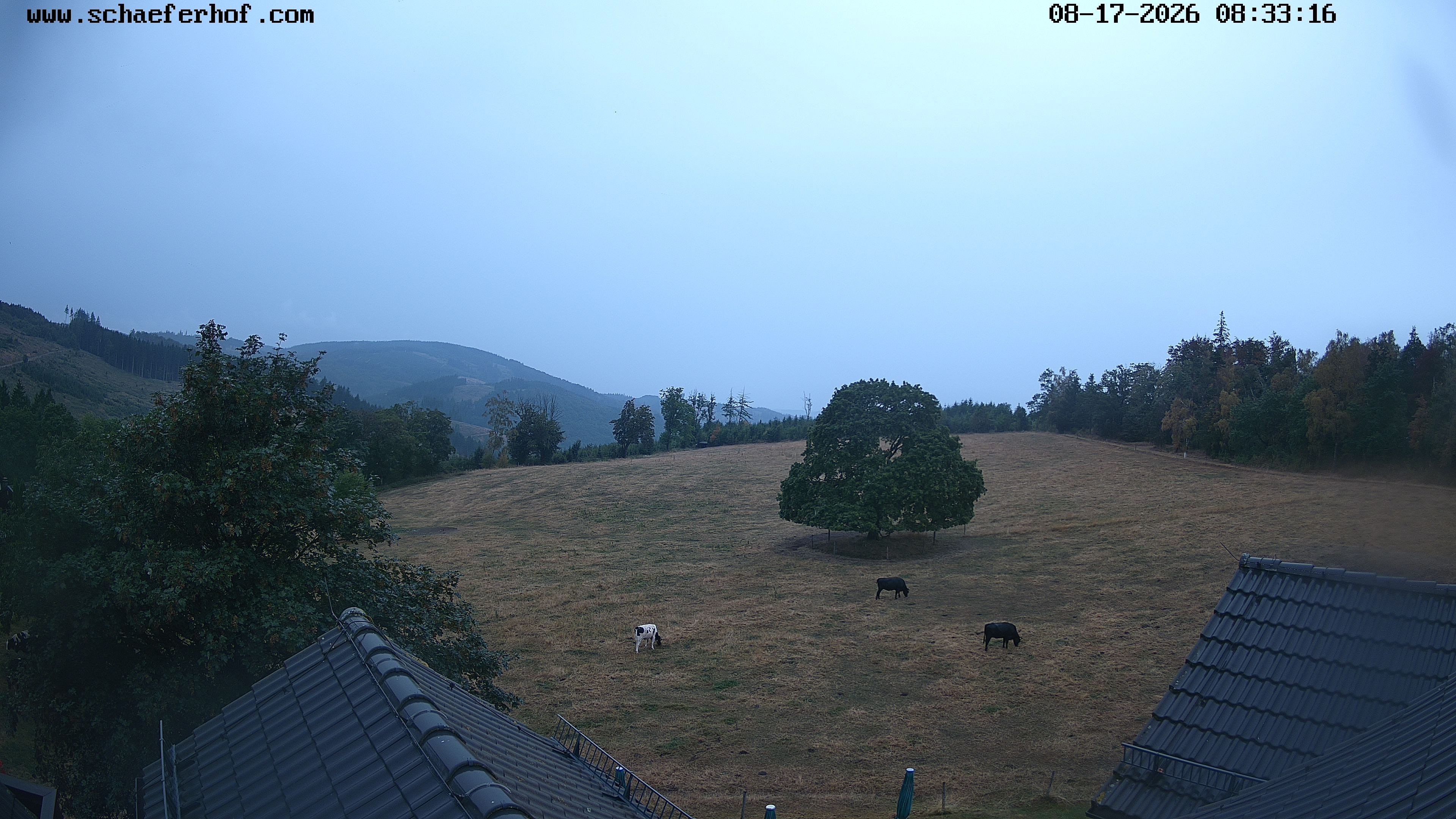 Archived image Webcam Schmallenberg: Hotel Schäferhof
