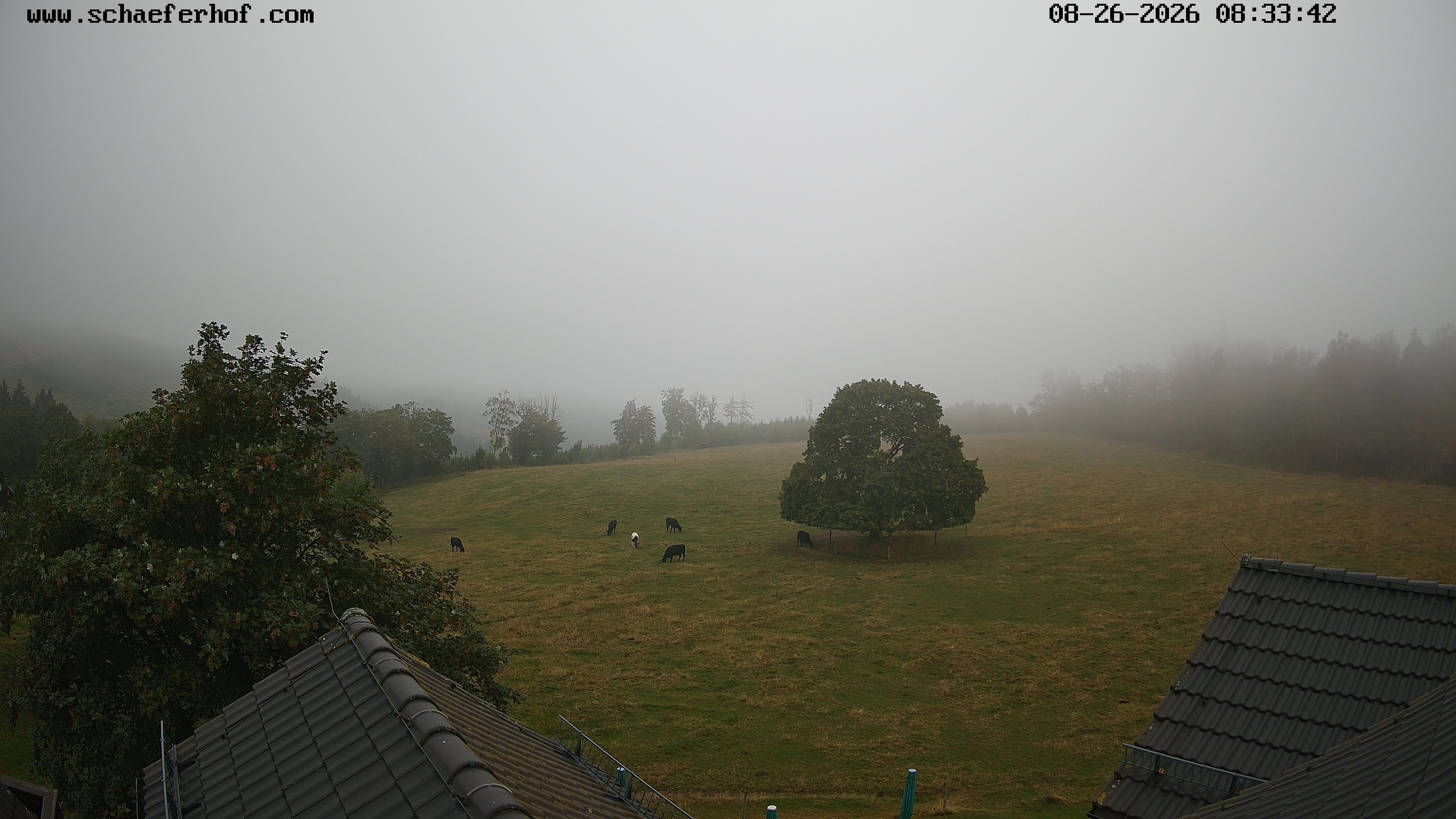 Archived image Webcam Schmallenberg: Hotel Schäferhof
